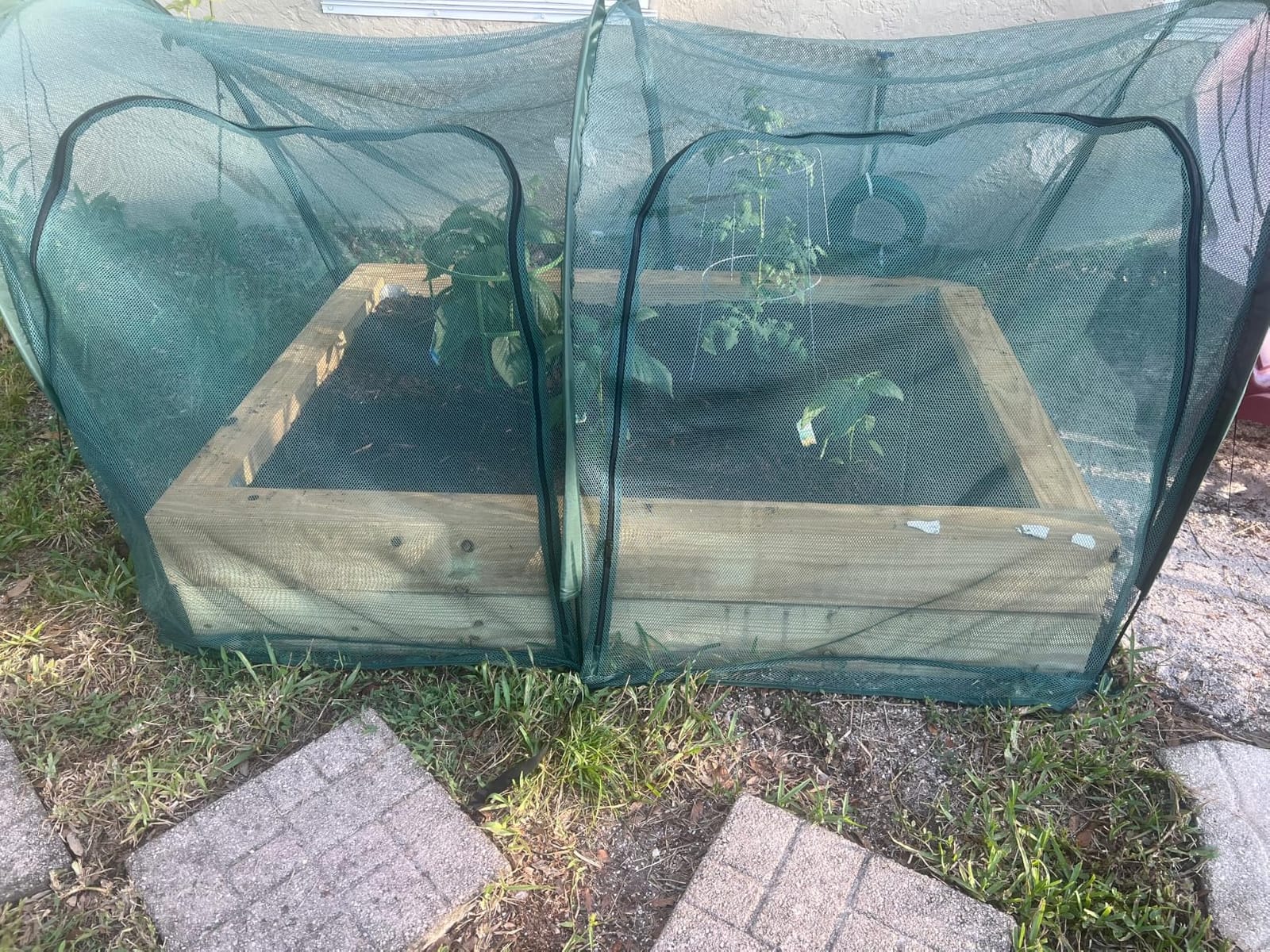 Flexible Net Grow Tunnel - Garden Greenhouse Mesh Covers Growhouse Cloche for Protecting Fruit Vegetables Plants Cultivation from Animals(2M) customer photo 1
