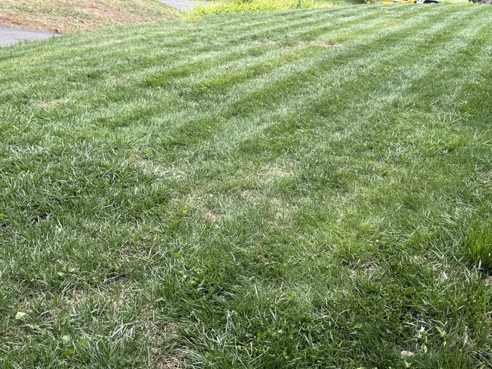 Mammotion LUBA 2 AWD 5000HX Robot Lawn Mower with 4G, Reception 1.25 Acres, Max 1.48 Acres, All-Wheel-Drive for 80% Slope, UltraSense AI Vision & RTK Automatic Edge Mapping customer photo 1