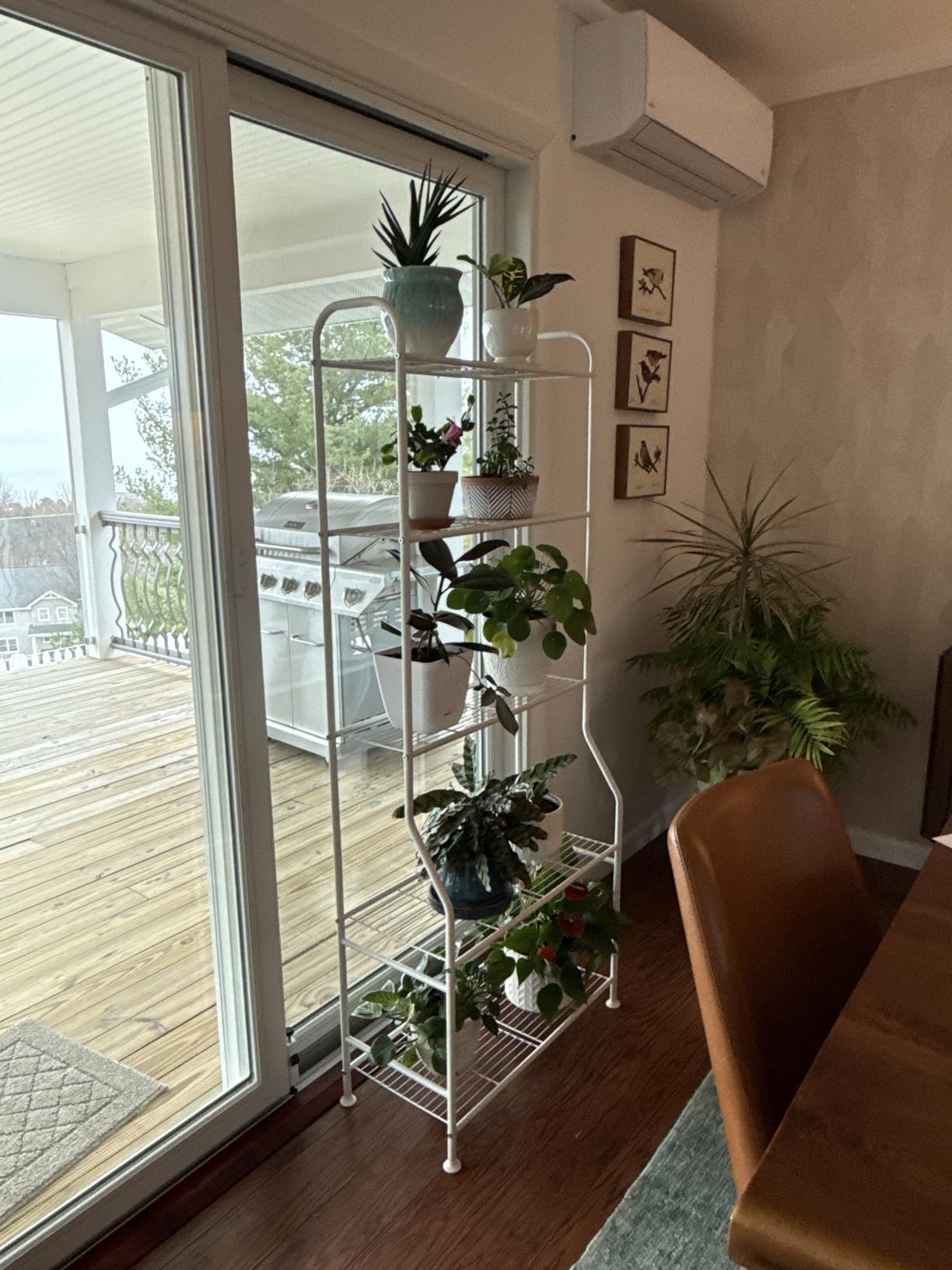 5-Tier Metal Plant Stand - Heavy Duty Indoor Outdoor Flower Shelf for Multiple Pots, 65