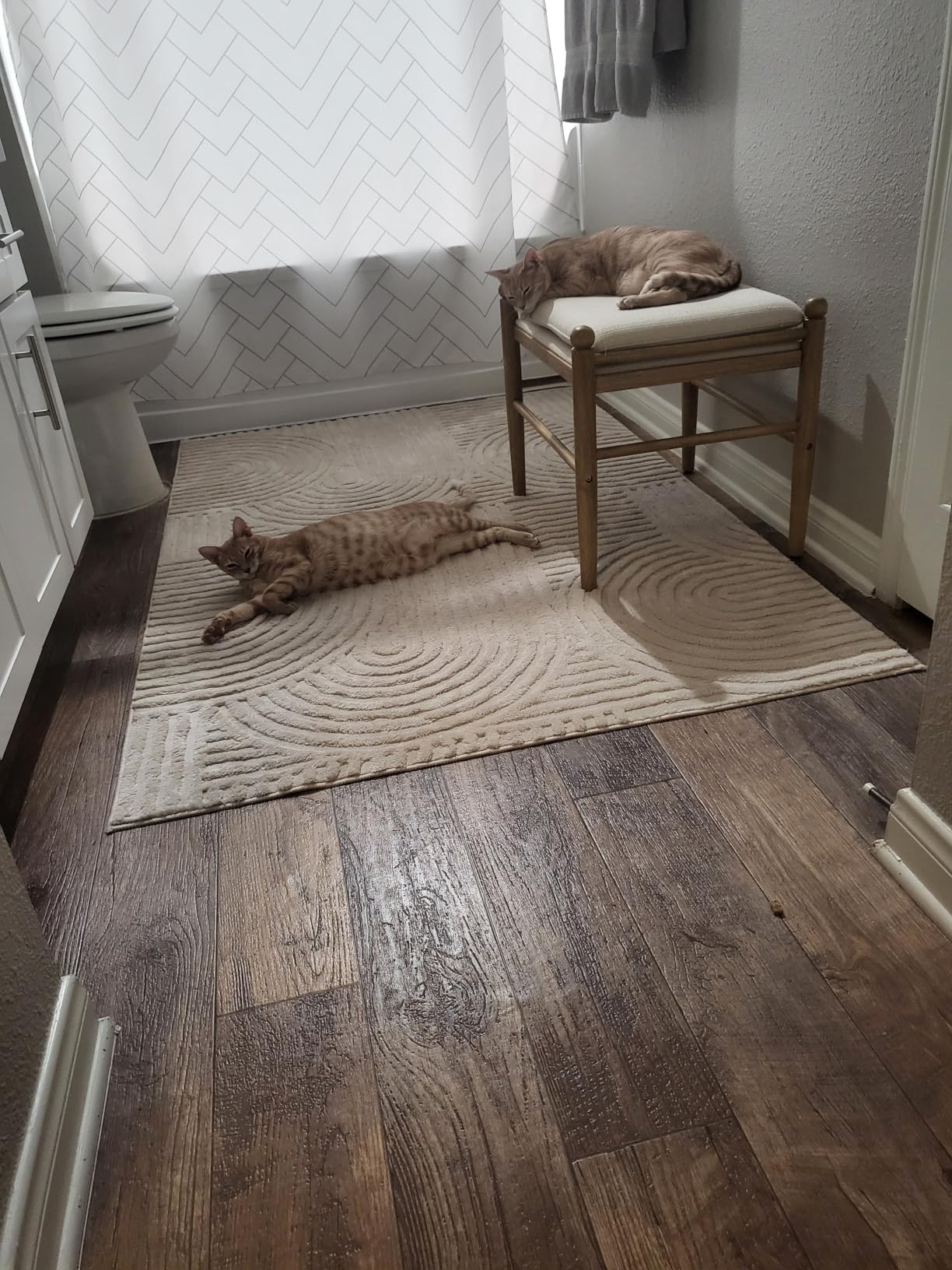 Pauwer 5x7 Area Rugs for Living Room, Modern Non Slip Washable Rug, Beige, Arch Pattern, Soft Fluffy, Neutral, Boho Accent, Solid Color Floor Carpet customer photo 1