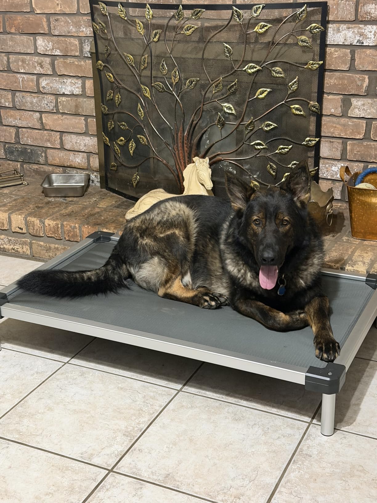 FXW TitanNest Padded Chew-Proof Elevated Dog Bed for Large Dogs | Easy to Clean, Pre-assembly Raised Cot, Indoor/Outdoor/Camping, 47 x 29 x 7.3in customer photo 1