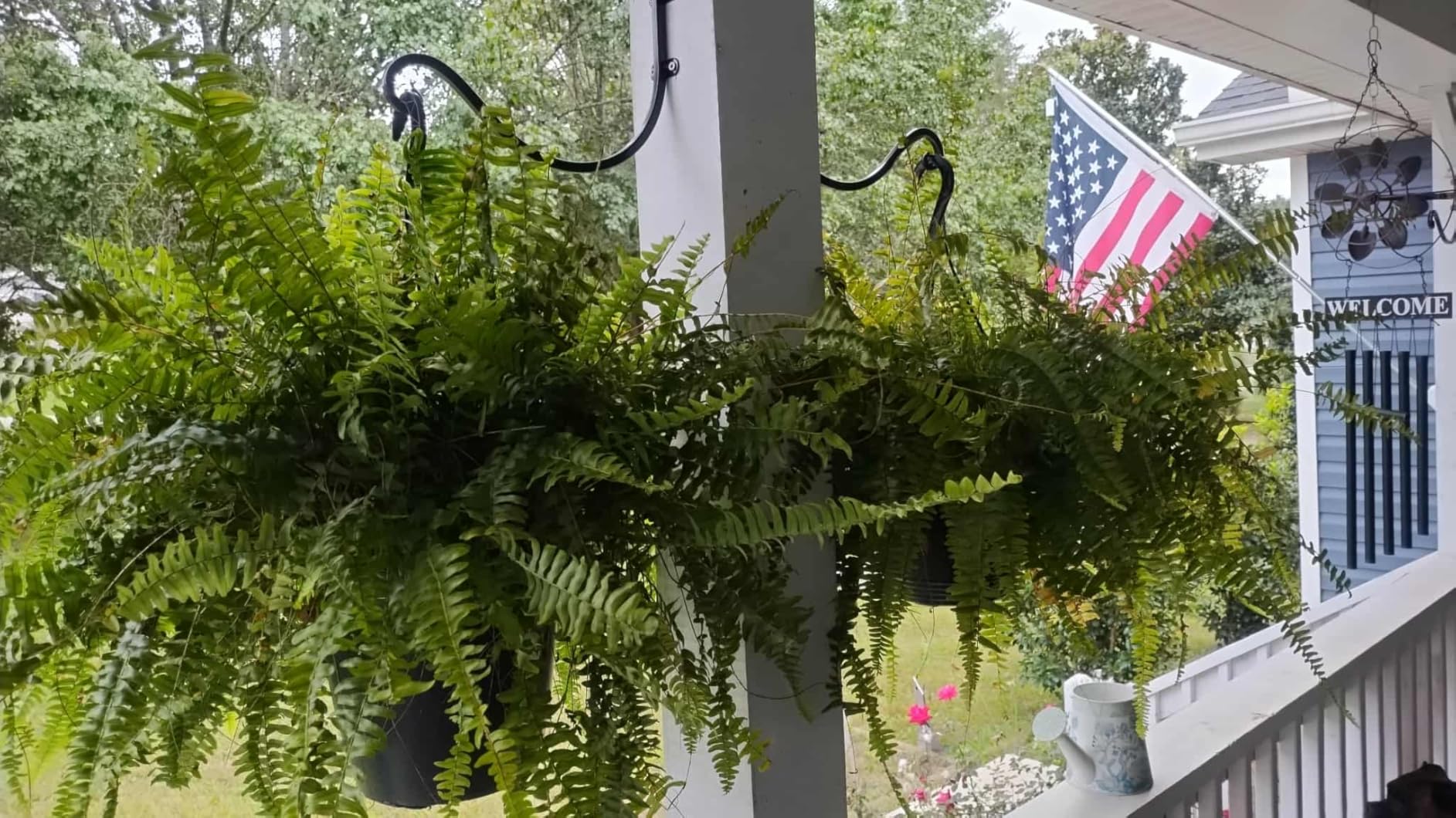 4 Pack 12Inch Plant Hanger, Sturdy Hanging Plant Bracket Hooks Outdoor, Bird Feeder Hanger for Bird Feeders, Planters, Lanterns, Wind Chimes Indoor Outdoor (Black) customer photo 2