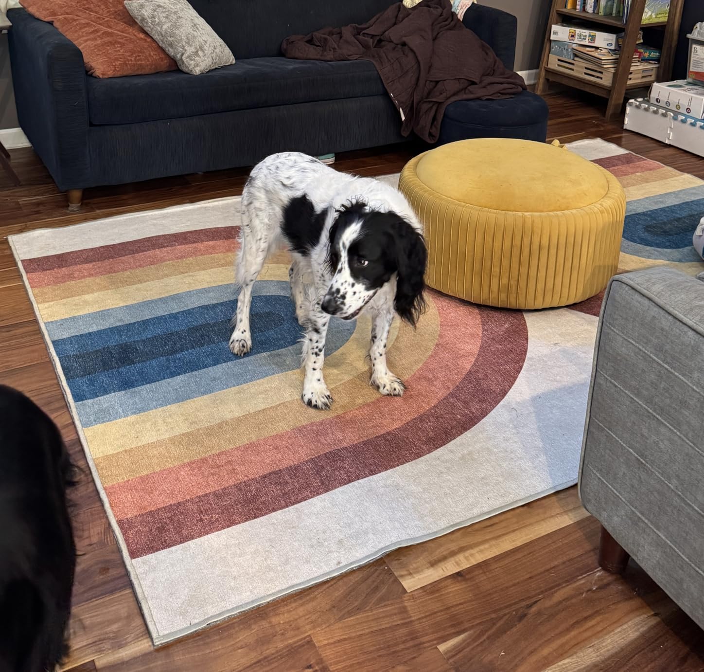 Waterproof GATORGRIP Non-Slip Rug Pad, 8x10, Pet-Friendly, Safe for All Floors, Made in the USA, Low-VOC customer photo 1