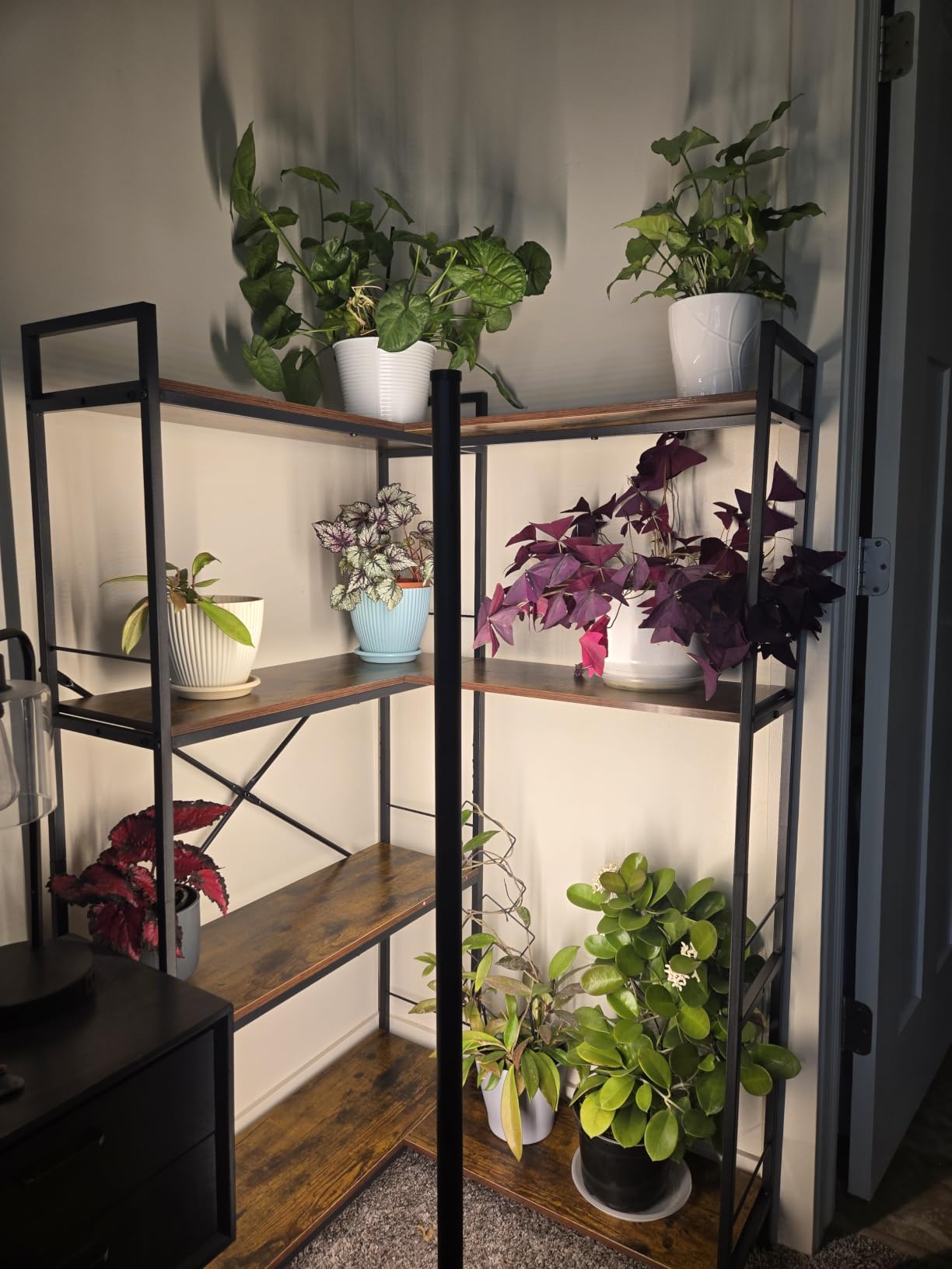 Huuger 5 Tier Bookshelf, L Shaped Corner Bookshelf with 10 Open Shelves, 49.4 Inch Straight Wide Bookcase with Metal Frame and Wooden Board, Adjustable Feet, Rustic Brown customer photo 1