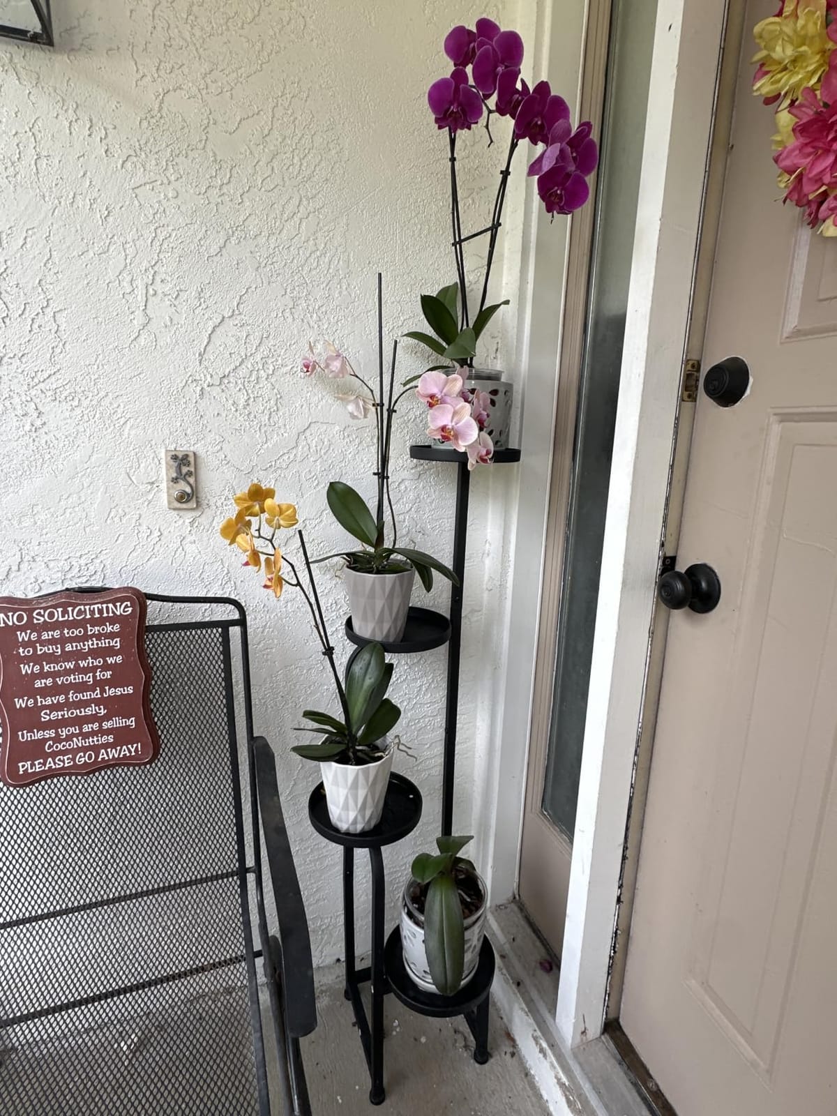 Bamworld Plant Stand with Grow Light Corner Metal Flower Pot Stands | 4 Tier Plant Shelf with Grow Lights for Patio Garden Balcony Living Room Bedroom(Patent Design) customer photo 1