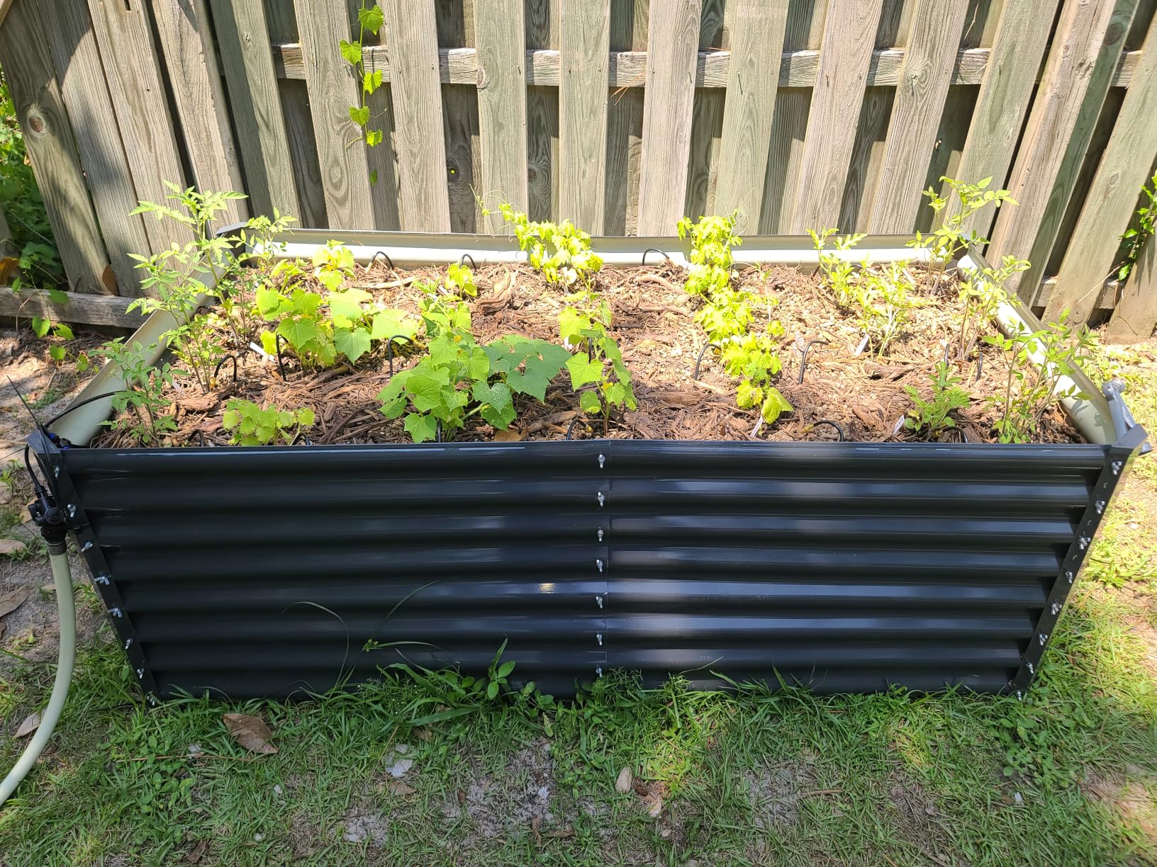 MIXC 200Ft 1/4