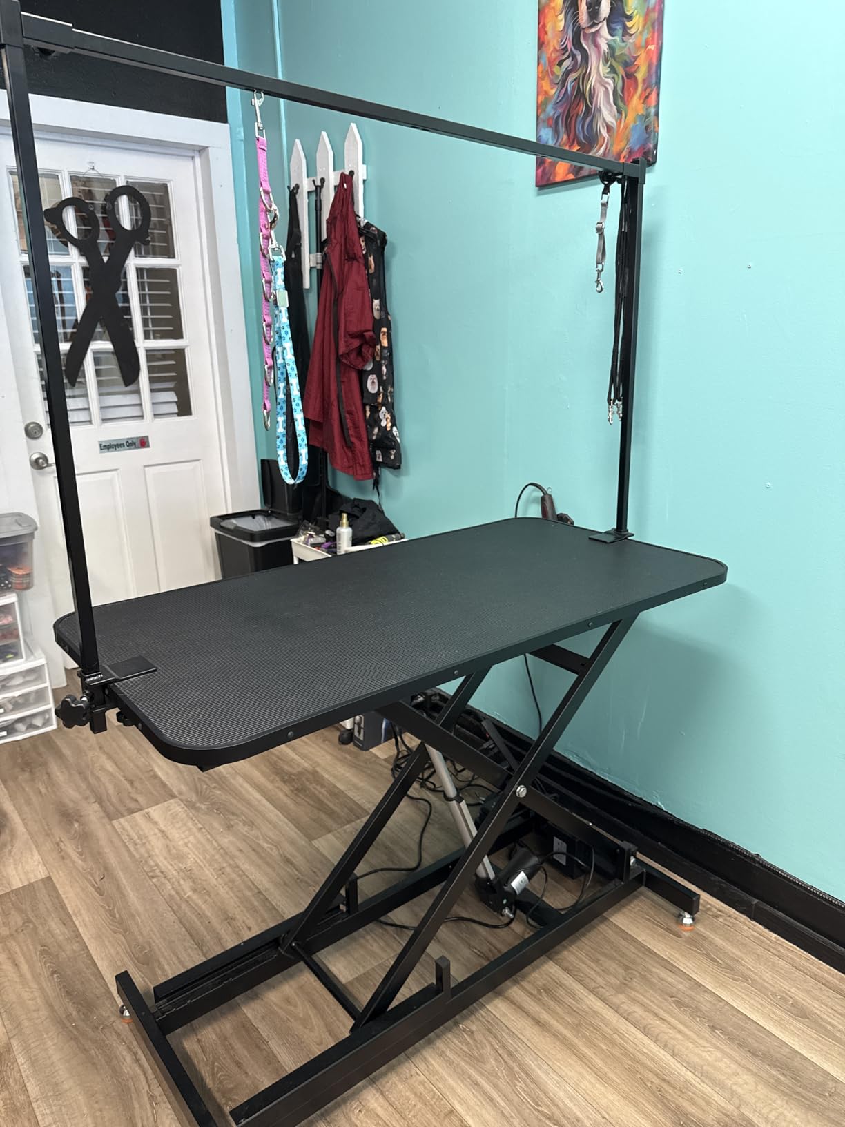 Professional Electric Grooming Table for Dogs At Home, Capacity 264LBS | Black Dog Grooming Table Height Adjustable Pet Grooming Table with Dog Grooming Arm, Anti Slip Tabletop, Tool Organizer customer photo 2