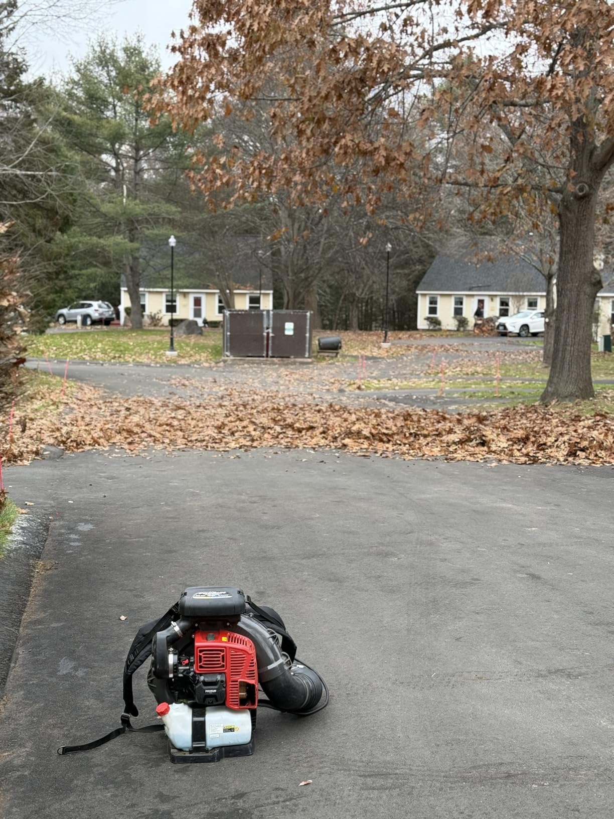 PRORUN PBB3000 Gas Backpack Leaf Blower, 79.9cc Commercial-Grade, 250 MPH, 1125 CFM, 50N, 2-Cycle Engine customer photo 2