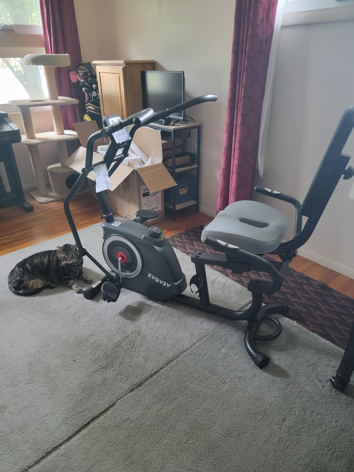 Recumbent Exercise Bike, Stationary Bike for Home with Arm Exercise | Recumbent Bike with 400LB Whisper-Quiet 16 Levels Magnetic Resistance Heart Rate and Multi-Function LCD Comfortable Seat customer photo 2