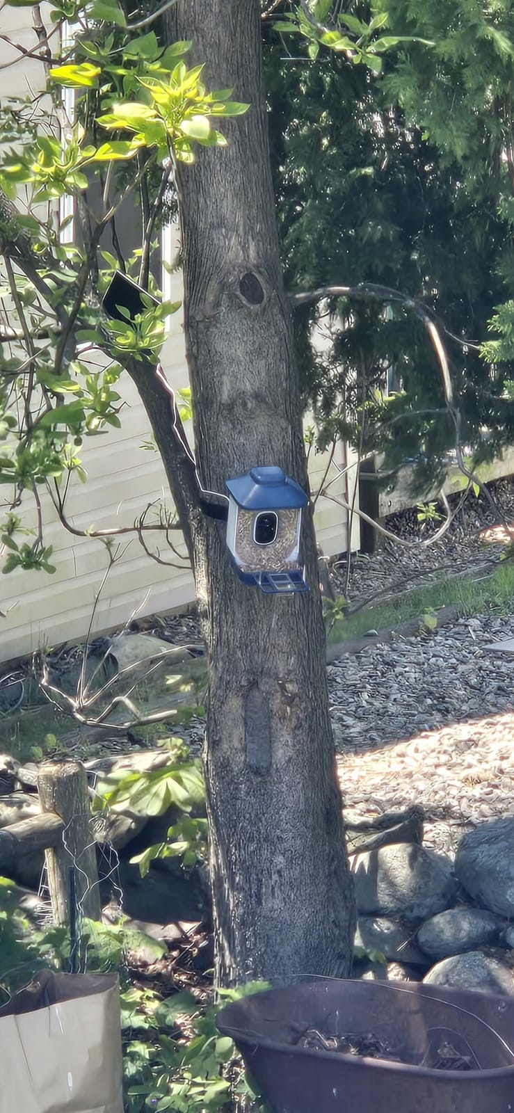 Smart Solar Bird Feeder with Camera & Outdoor Bird Bath | 2K HD Dual-Lens, AI Bird Identification, Instant Mobile Alerts, IP66 Weatherproof, Ideal for Outdoor Bird Watching customer photo 2