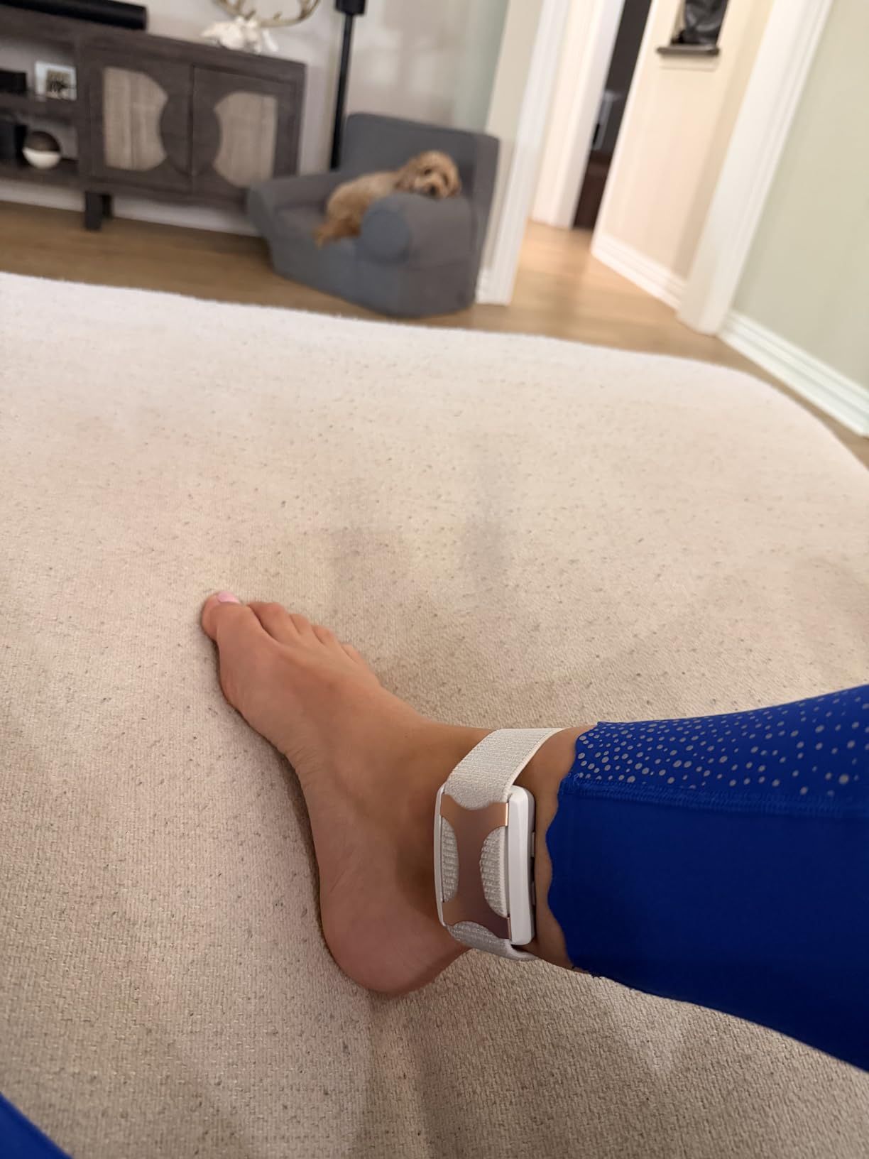 Apollo Neuro Wearable & 12-Month SmartVibes AI Membership - Sleep Aid & Stress Relief Device (Glacier) customer photo 1
