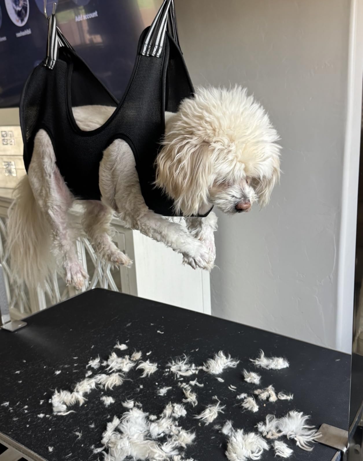 Dog Grooming Table with Arm, Hammock, Nooses, 35.5