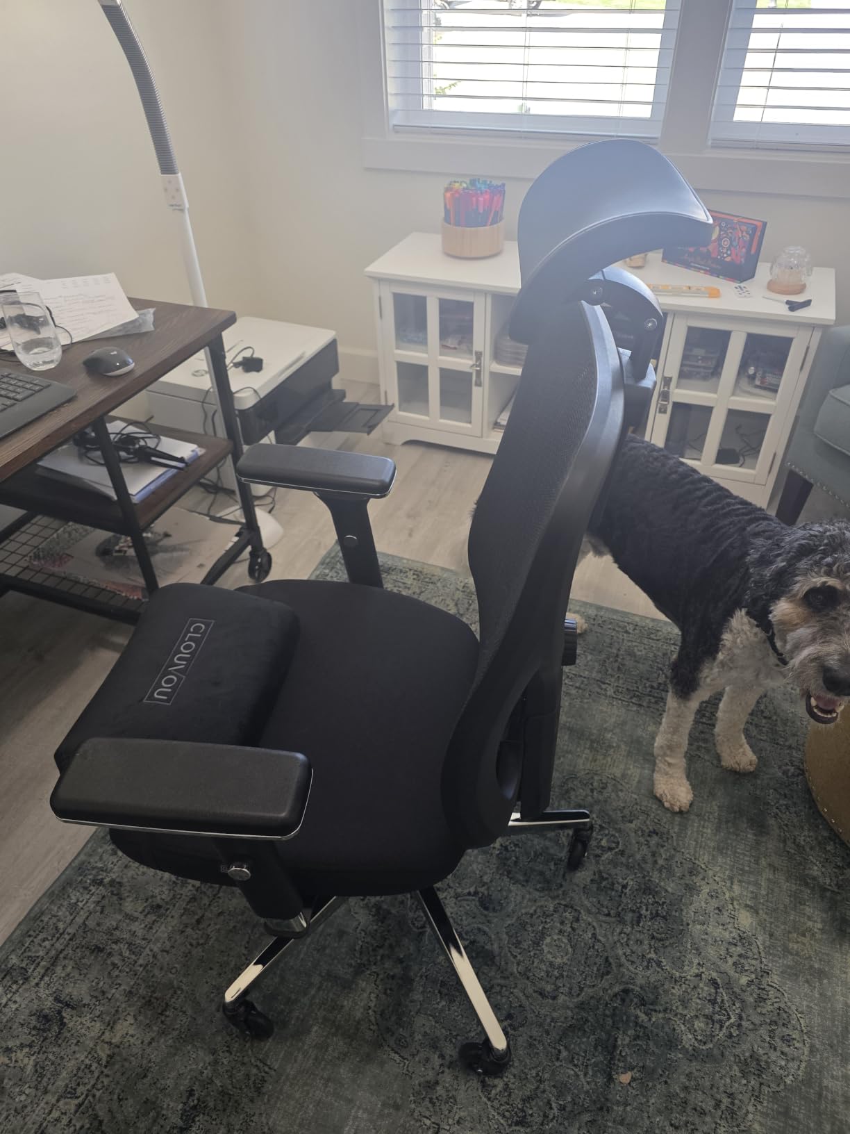 Ergonomic Office Chair Comfy [#1 in Tests] customer photo 1