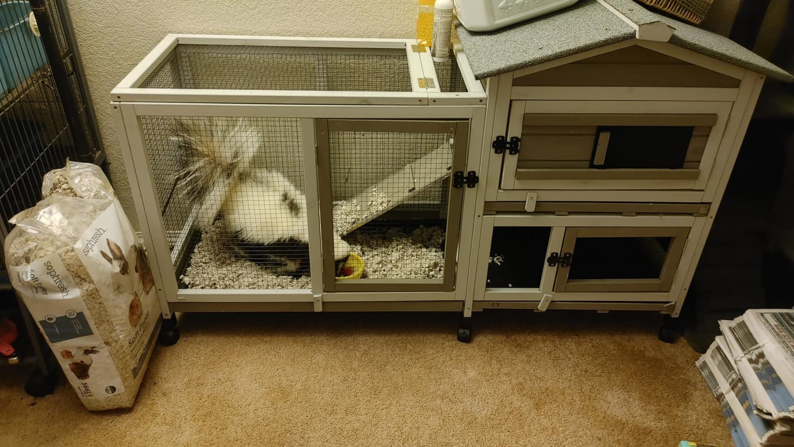 2 Story Rabbit Hutch Outdoor Indoor, Wooden Bunny Cage with 6 Lockable Wheels, 3 Removable No Leakage Pull Out Trays, Chew-Proof Ramp & Waterproof Roof, Ideal for Rabbit & Guinea Pig customer photo 1