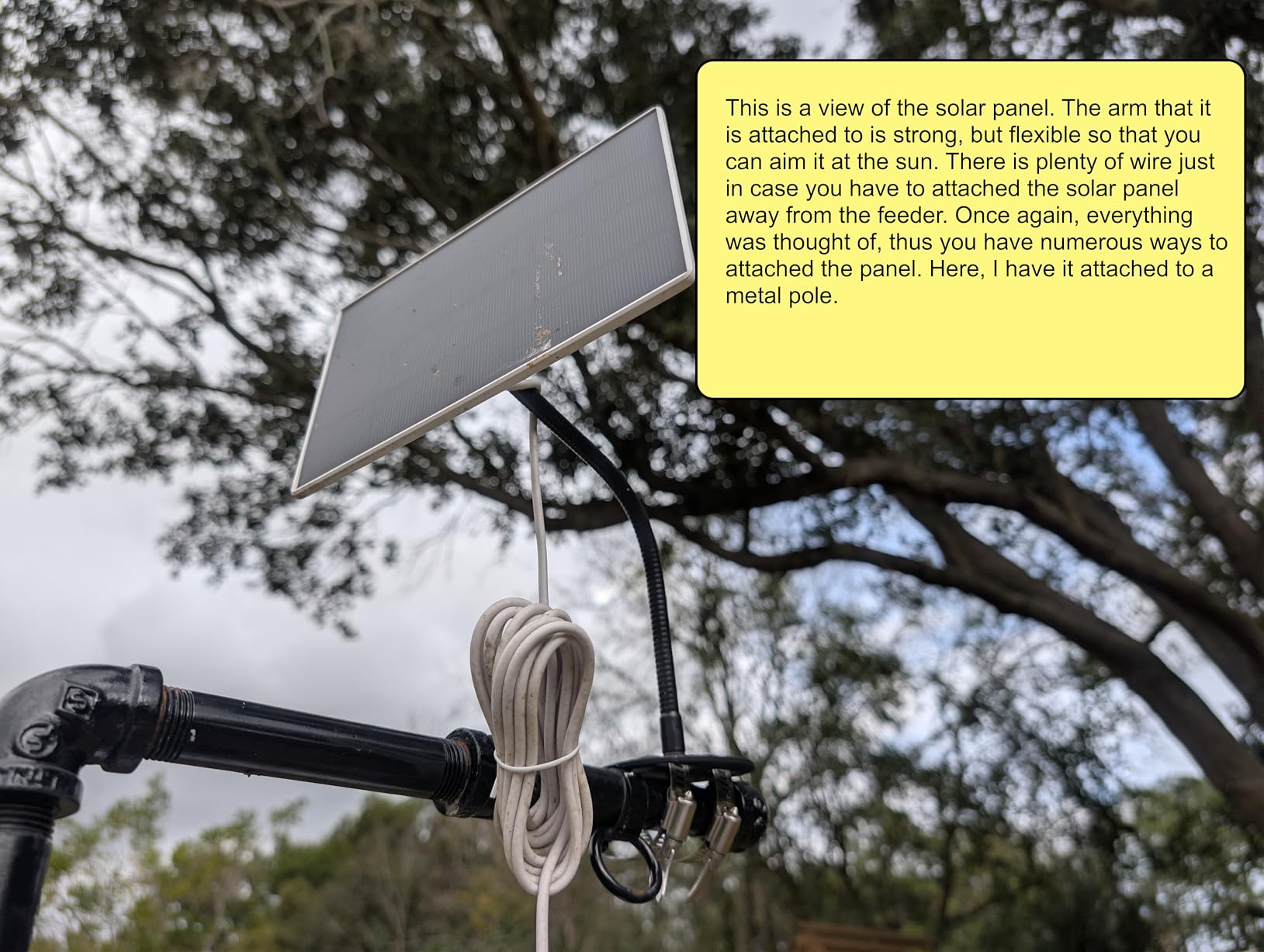 Birdfy Smart Bird Feeder with Camera for Beginners, Solar Powered, Free AI | Full-Color Night Vision, Weatherproof Design and Simple Setup Make Birdwatching Easy for First-time Bird Lover, 1.3L Capacity customer photo 1