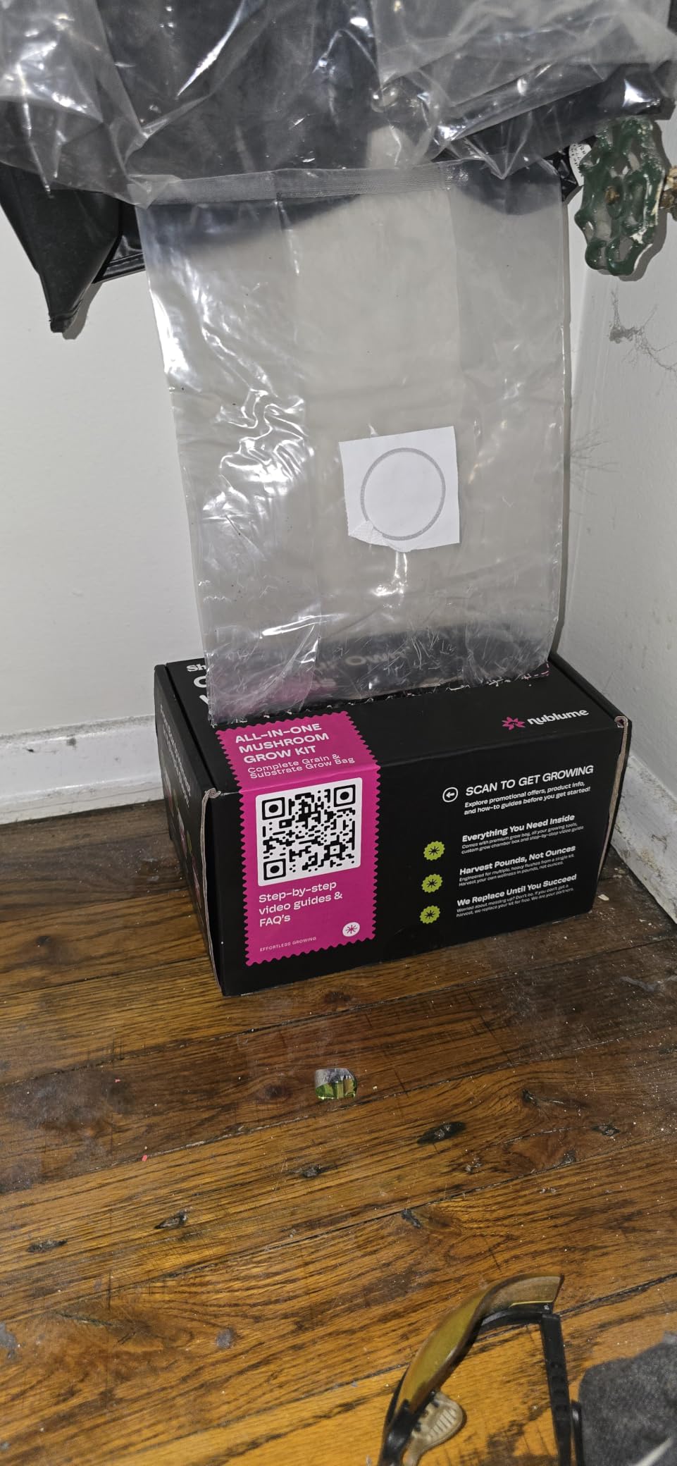 Mushroom Grow Kit - All-in-One 4LB Grow Bag with Self-Healing Port - Fast-Colonizing Universal Substrate for Any Mushroom - Multi-Flush High-Yield - USA Made (Just Add Your Own Culture) customer photo 2