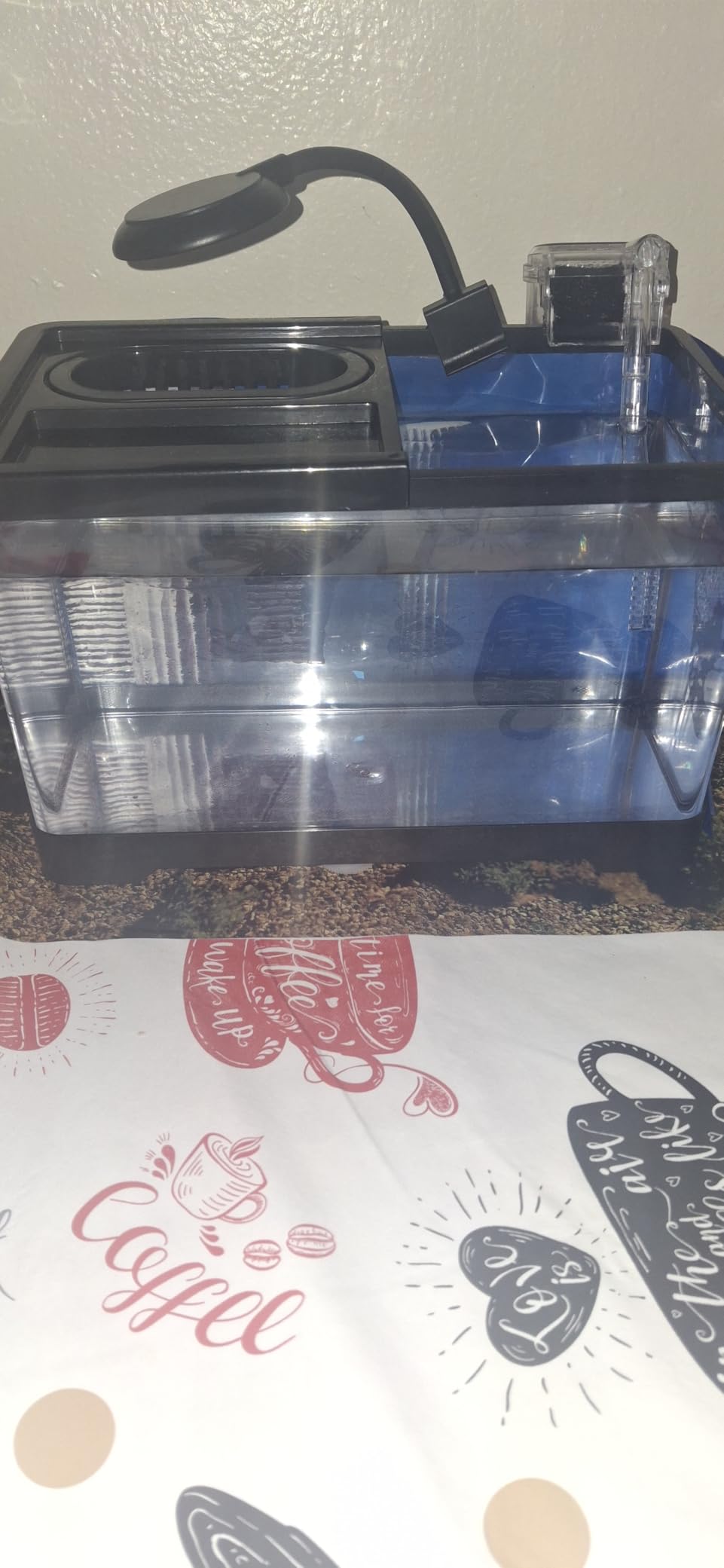 1.8 Gallon Beta Fish Tank Aquariums Kits - Clear Small Fish Bowl Starter Kit with LED Light, Water Filter Pump, Hydroponic Basket - Beginner's Gift for Guppy Shrimp Goldfish, Rectangular customer photo 1