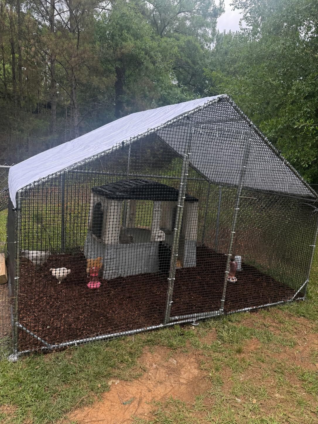 CAMMOO Metal Chicken Coop with Run, 13.1x9.8x6.6ft, Walk-in Chicken Run for Yard with Cover, Upgrade Double Lock & Rust-Proof Mesh, Stainless Steel Ties, Easy Assembly, Chicken Pen for Ducks, Rabbits customer photo 1