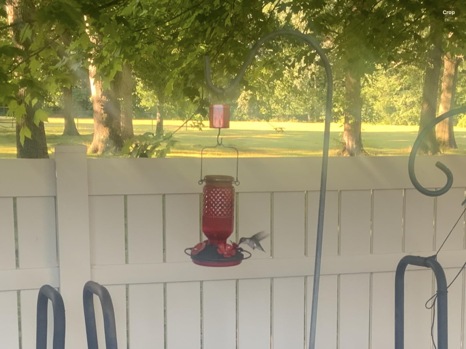 Glass Hummingbird Feeder for Outdoors Hanging, 16 oz Leak-Proof Nectar Feeder with Bee Guards & Ant Moat, 4 Metal Flower Feeding Ports, 360° Perch Ring, Easy Refill & Clean, Purple 2 Pack customer photo 2
