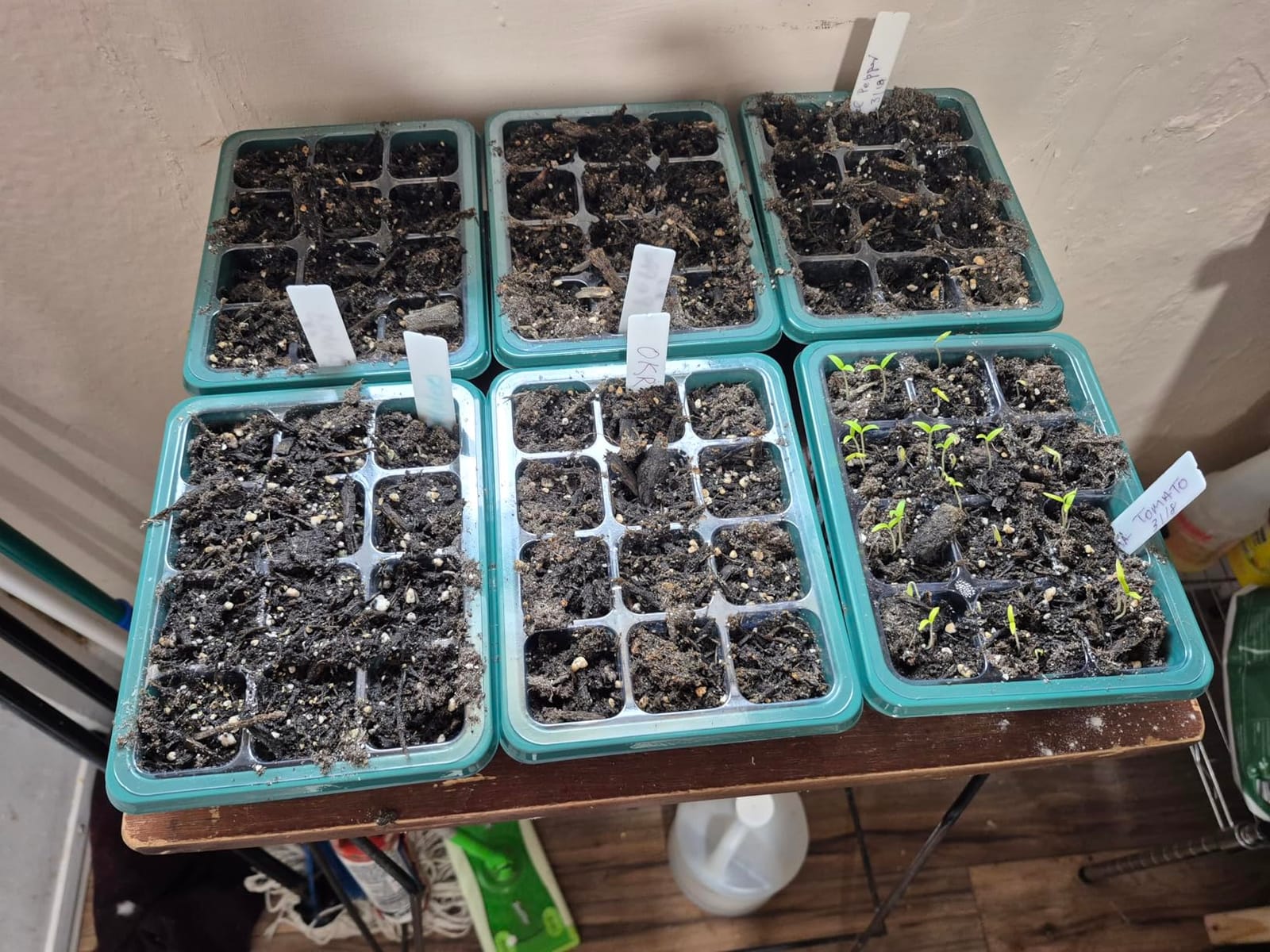 10 Pcks Seed Starter Tray 120 Cells Seed Starter Kit with Humidity Dome, Seed Starting Trays for Seed Seedling Planting Starter, Mini Greenhouse Plant Germination Trays (Green) customer photo 2