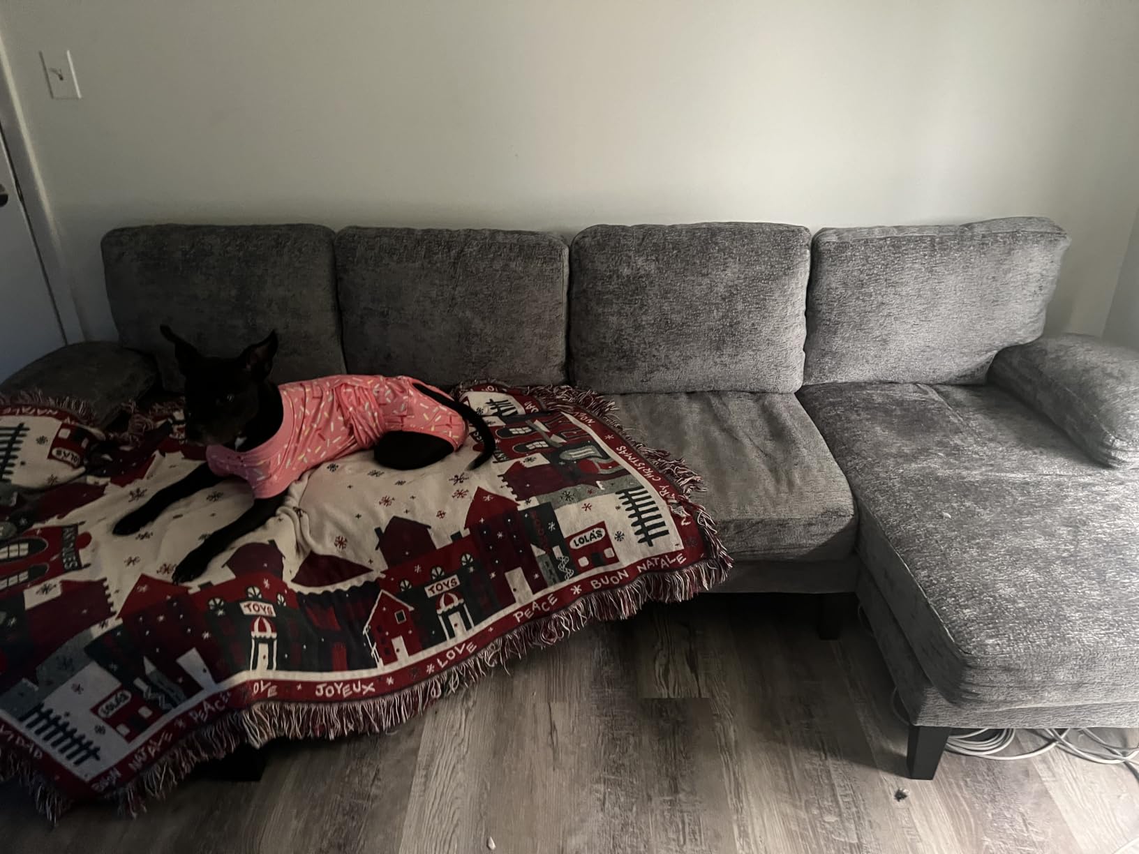 U-Shaped Sectional Couches for Living Room | 112 Inch Modern Sectional Couch | Dark Grey Chenille Sofa with Double Chaise for Apartment customer photo 1