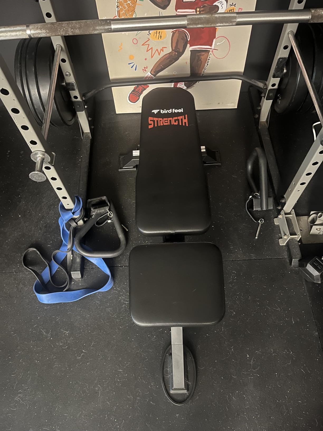 Adjustable Weight Bench, 1800LBS Heavy Duty Workout Bench for Home Gym customer photo 1