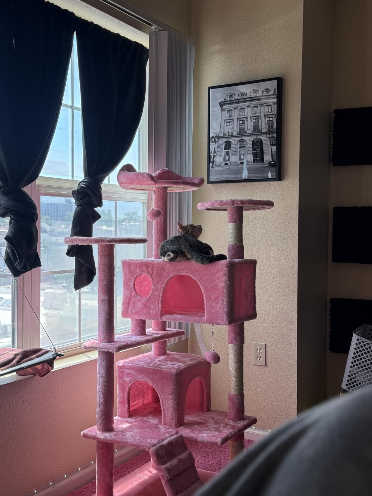 Sweetcrispy 54 Inch Cats Tree Tower, Multi-Level with Scratching Post, Indoor Cat Tree Condo with Climbing Ladder, Plush Toy, Play House for Kittens, Beige customer photo 2