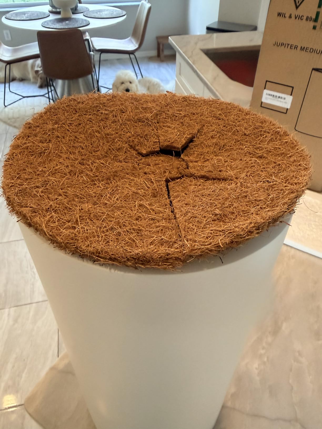 Wil&Vic89s Nova Round Fiberglass Planter 12.6H x16.1D Indoor Outdoor Black customer photo 2
