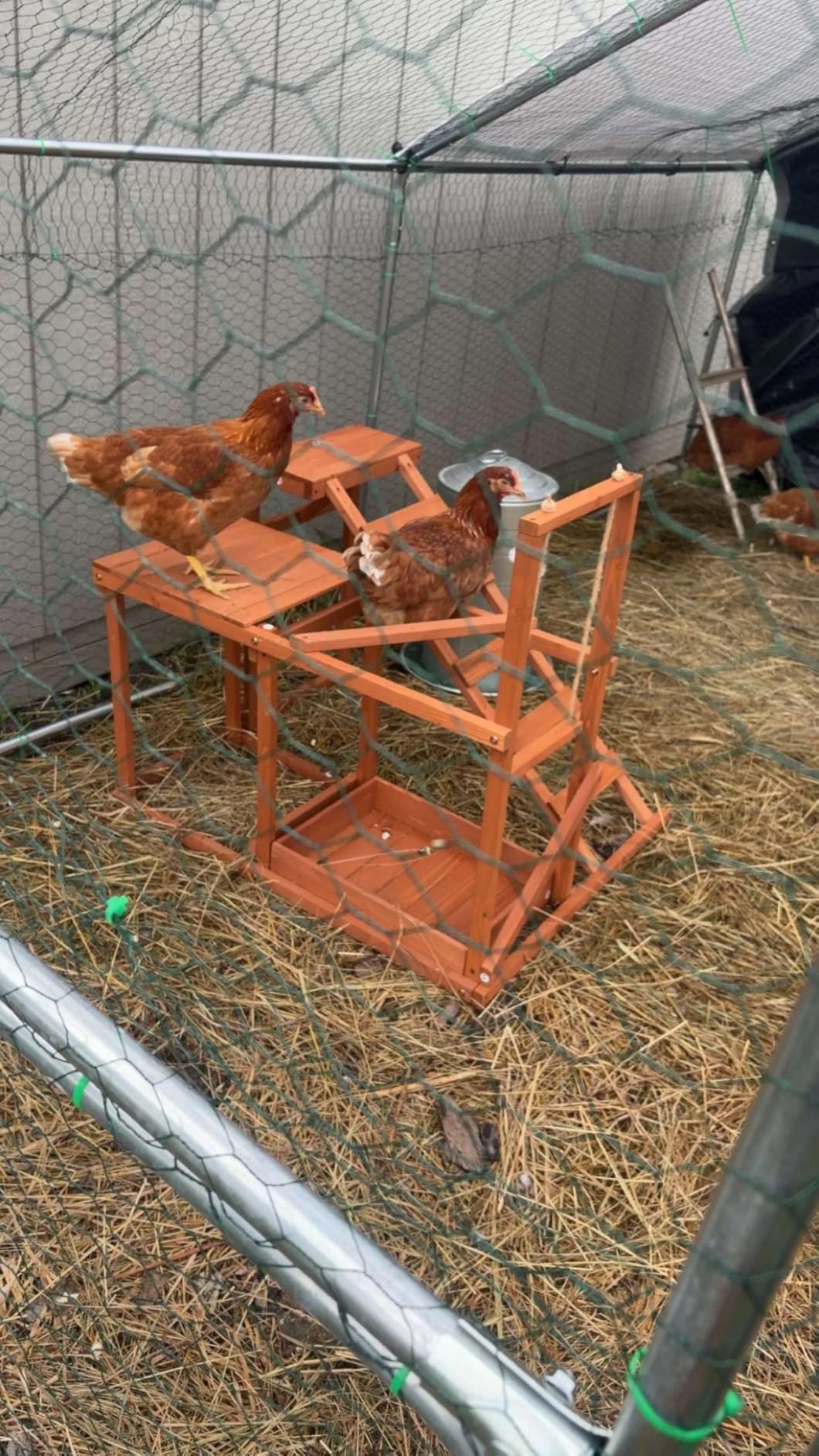 UDPATIO Large Metal Chicken Coop Walk in Run House Pen Galvanized Frame | Double Feed Door UV-Resistant Cover Outdoor Cage for Bird Duck Rabbit Hen 6-10 Silver M customer photo 2