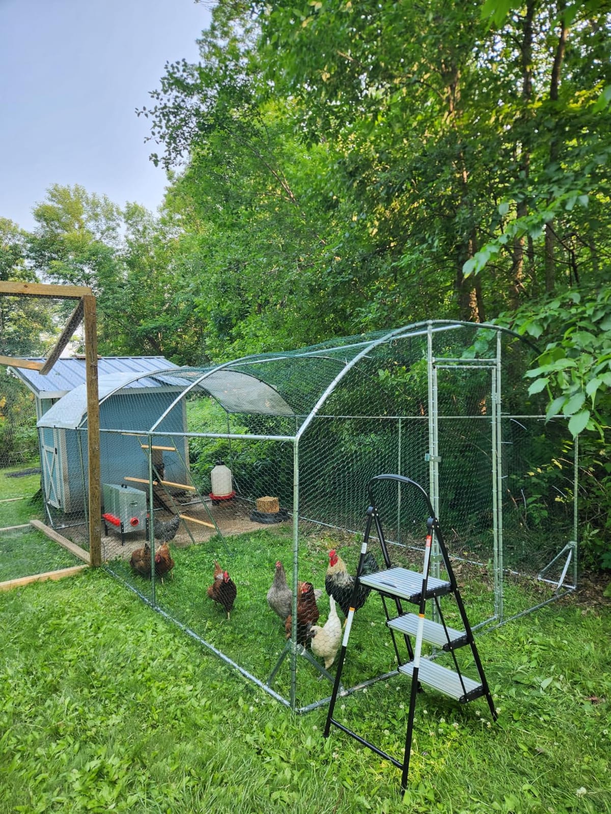 Quictent Essential Series 18x9x6.6ft Metal Chicken Coop Run with Climbing Ladder, Walk-in Outdoor Poultry Cage with PVC Coated Chicken Wire, Hen Duck Rabbit Farm House, Waterproof Anti-UV Cover customer photo 1