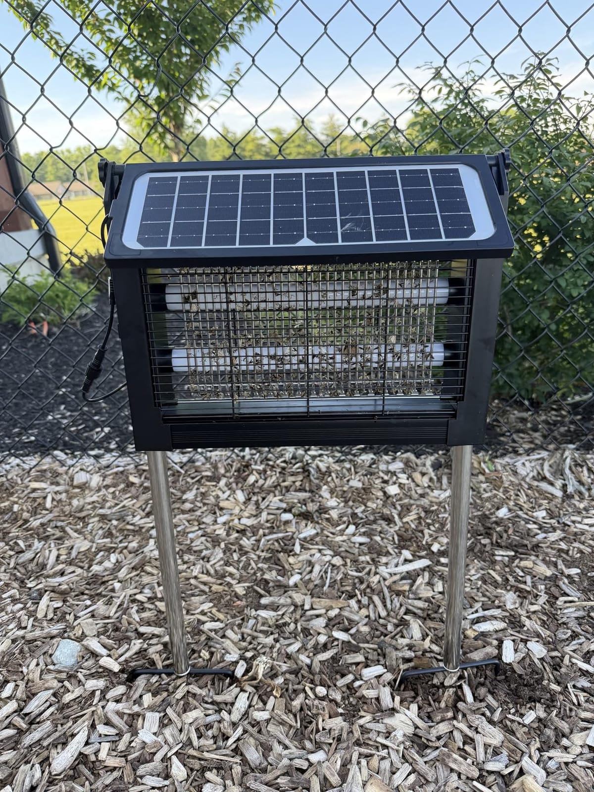 Solar Bug Zapper Outdoor, 4500V Mosquito Zapper with Dual Solar Panels | Auto On/Off, IPX5 Waterproof Mosquito Killer For Backyard, Patio, Garden, Camping And Up To 1/2 Acre Coverage customer photo 1