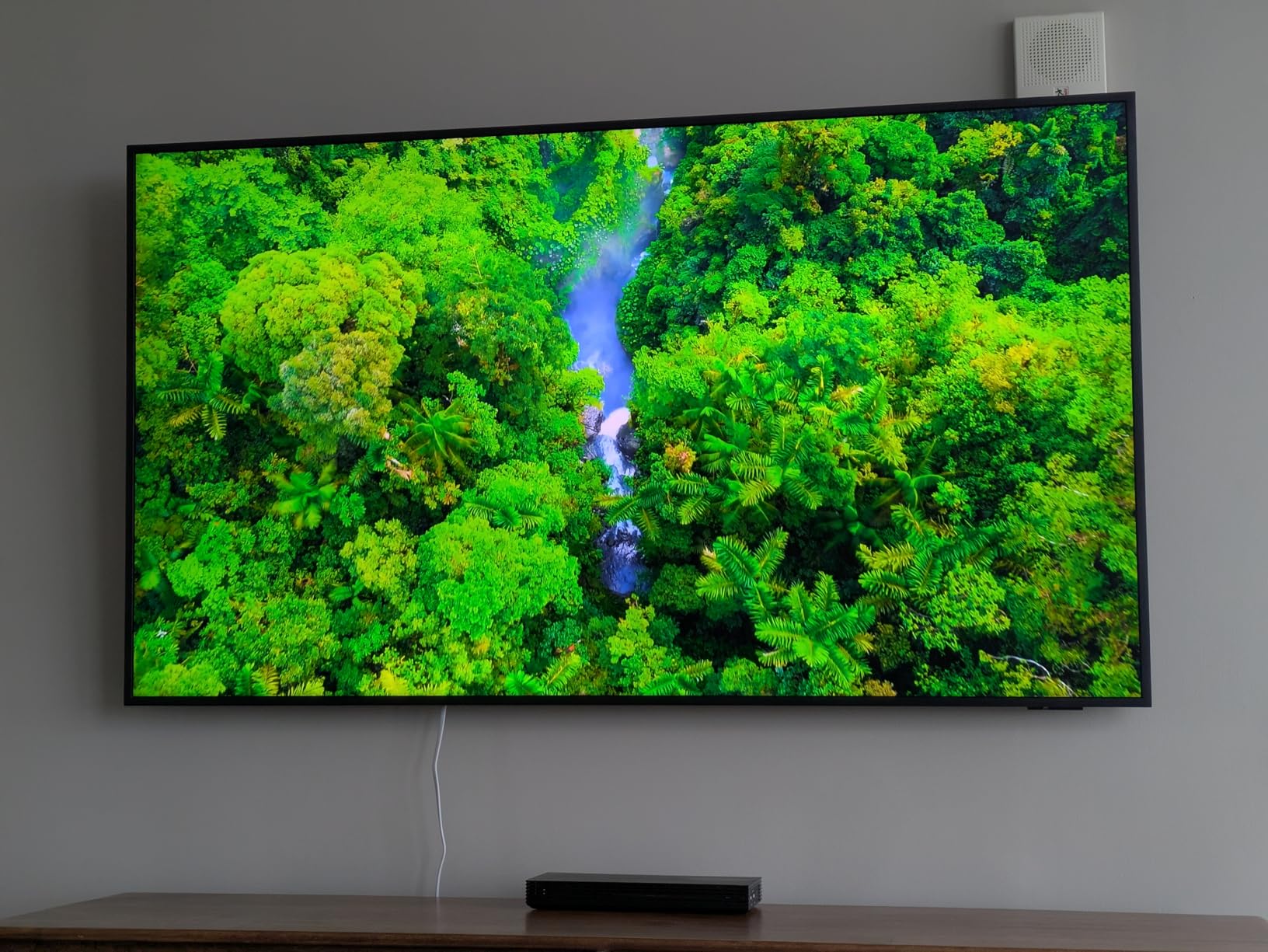 Samsung Frame Pro LS03HW customer photo 1
