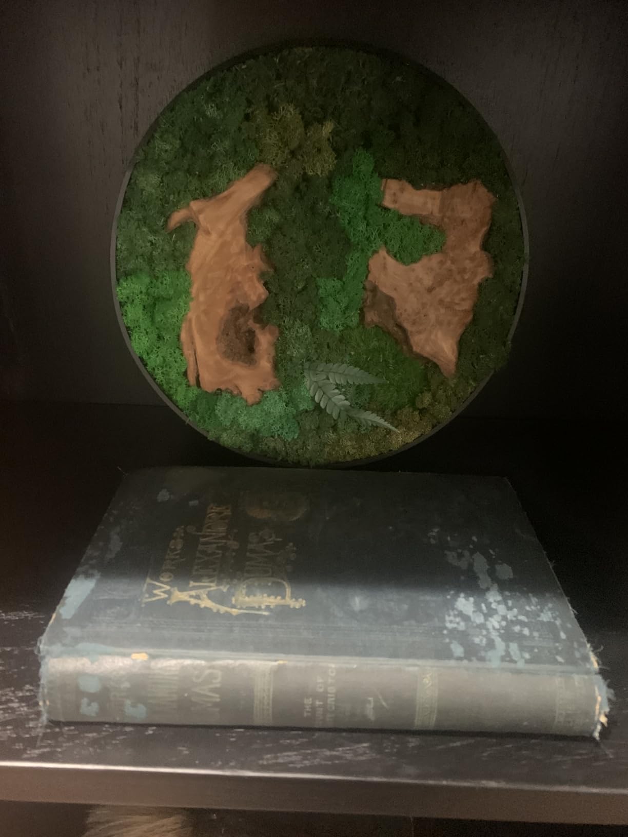 vadmepiop Moss Wall Art Natural Moss and Wood Handcrafted Rustic Charm, Modern Nature Wall Hanging for Living Room & Office, Office, Restaurant, Bar & Cafe No Maintenance (11.81in, Round) customer photo 2