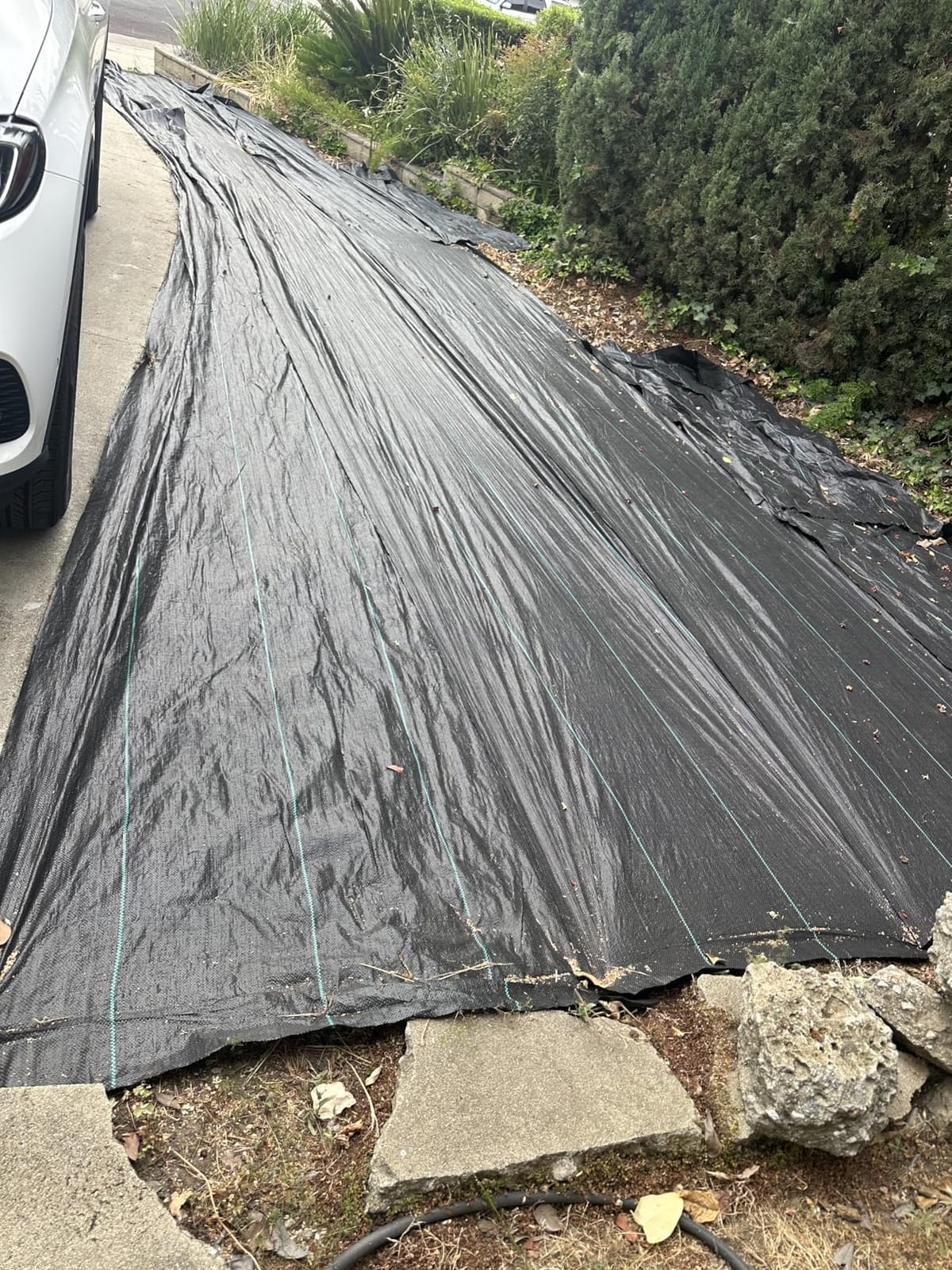 4FT x 50FT Heavy Duty Weed Barrier Fabric, Landscape Fabric Ground Cover for Garden Beds, Raised Beds, Mulch & Gravel Paths, Woven Geotextile Weed Blocker with 15 Garden Staples customer photo 1