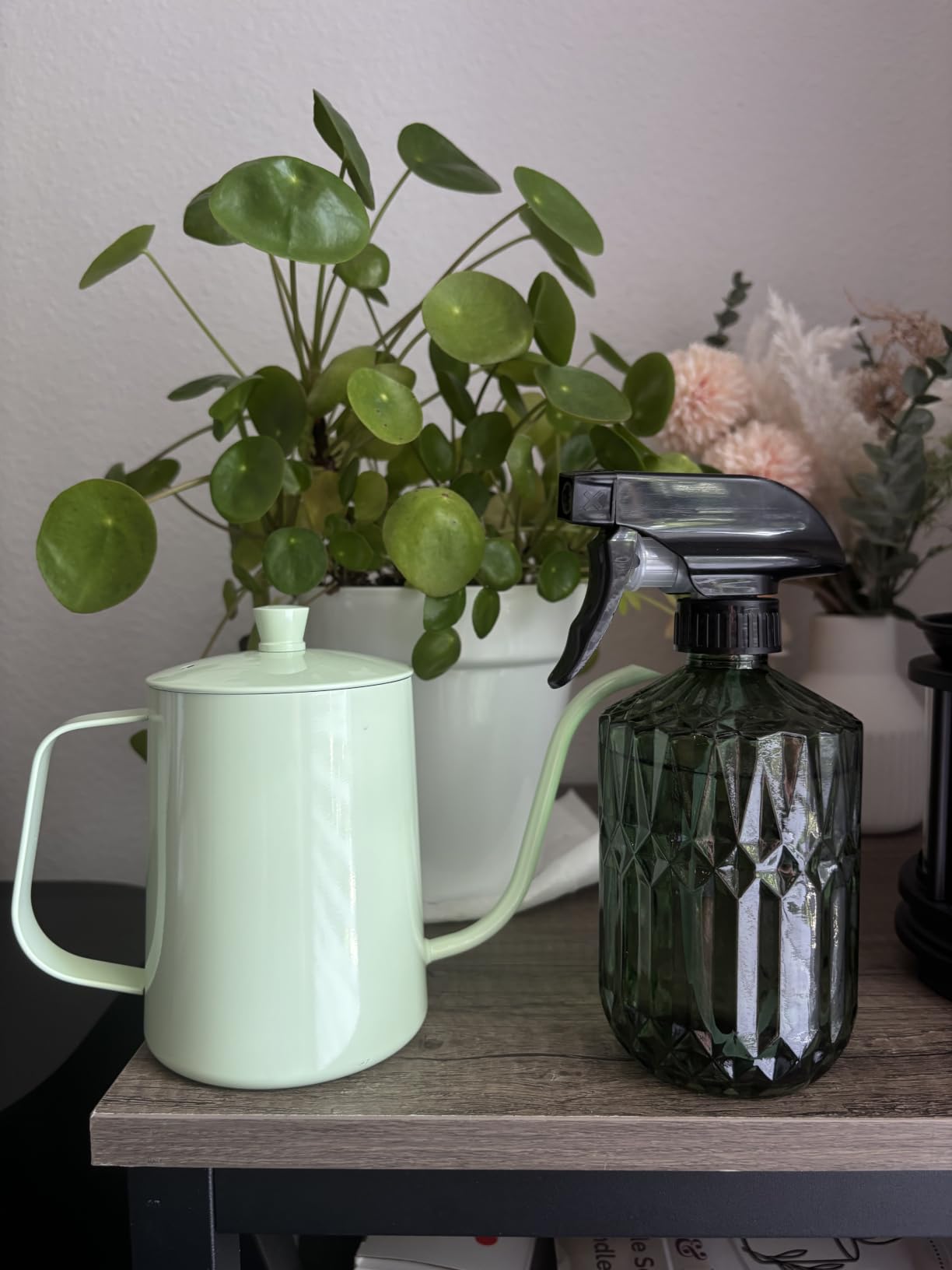 2 Pack Small Watering Can for Indoor Plants, 20 oz Metal Plant Watering Can with 13.5 oz Glass Plant Mister customer photo 1