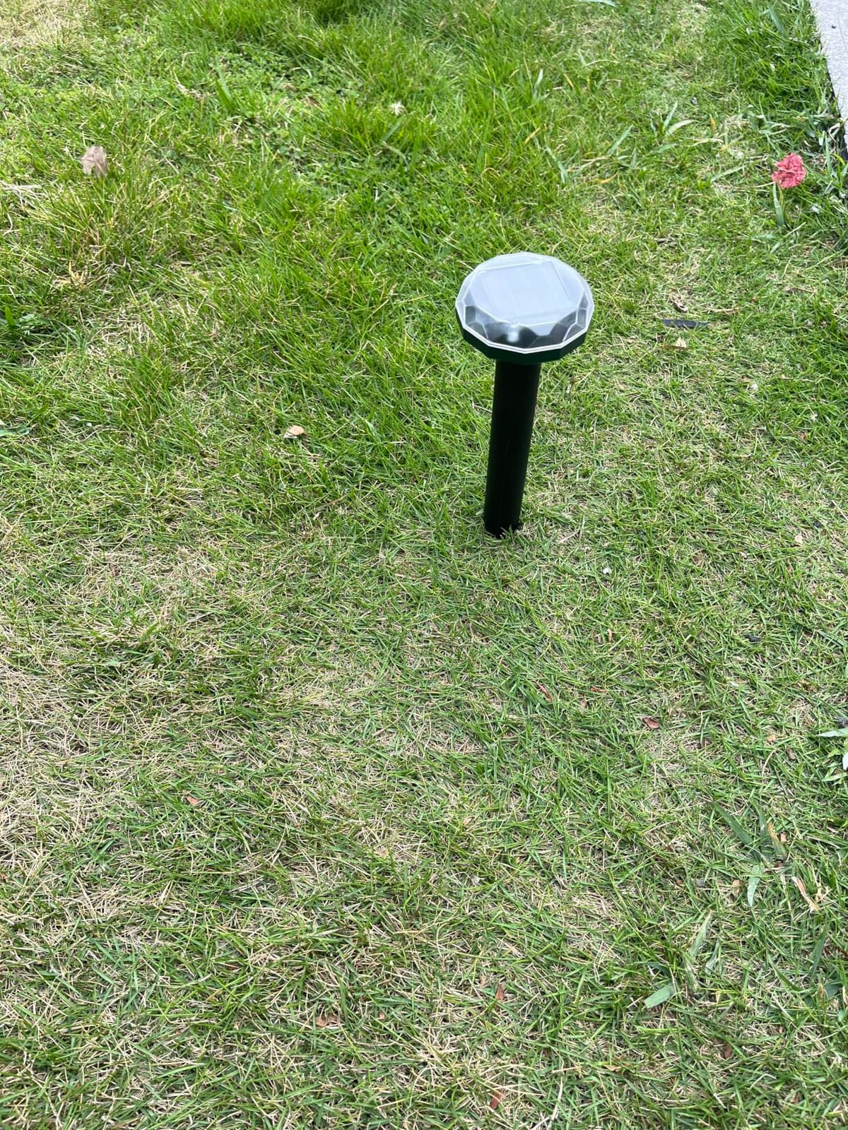 8Pack Solar Ultrasonic Mole Repellent for Lawns, Solar Powered Ultrasonic Gopher Repellent for Lawns, Ultrasonic Mole Deterrent Stakes, Get Rid for Groundhog, Woodchuck, Vole, Chipmunk for Yard Garden customer photo 1
