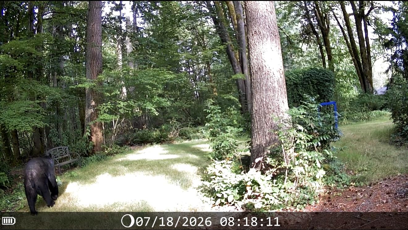 DEATTI 4K 48MP Trail Camera WiFi Bluetooth Connection, Game Camera with 0.1s Trigger Time, Night Vision Motion Activated Wildlife Camera with 8 Batteries, 32 GB SD Card, IP66 Waterproof for Deer Outdoor customer photo 1