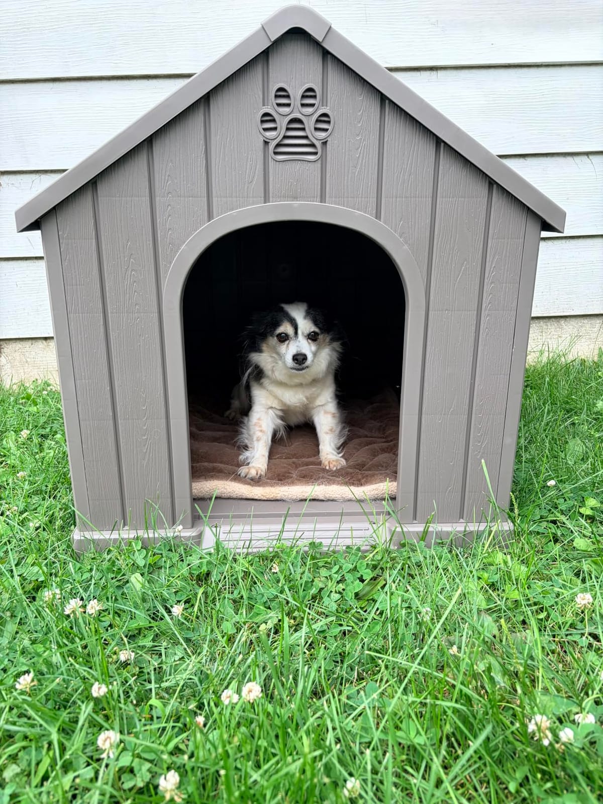 Fancyango Large Dog House for Medium to Large Dogs - Sturdy Waterproof Doghouse for Indoor/Outdoor Use with Air Vents and Elevated Floor Easy to Clean and Assemble (Classic Grey, 36.2