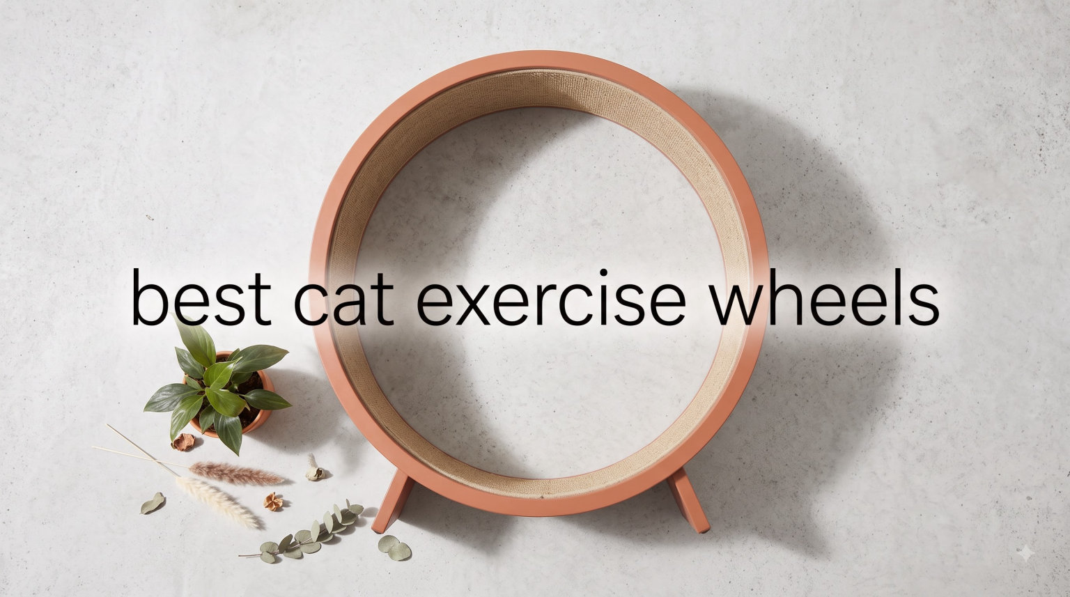 best cat exercise wheels