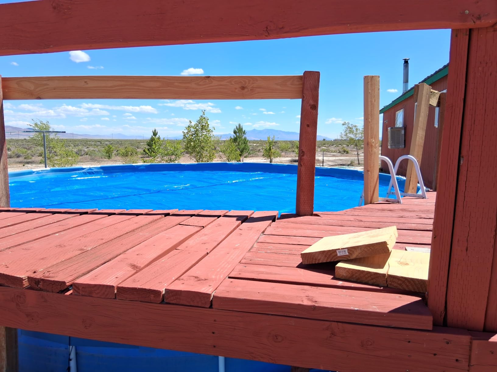 INTEX 28012E Solar Pool Cover: for 12ft Round Easy Set and Metal Frame Pools - Insulates Pool Water - Reduces Water Evaporation - Keeps Debris Out - Reduces Chemical Consumption customer photo 1