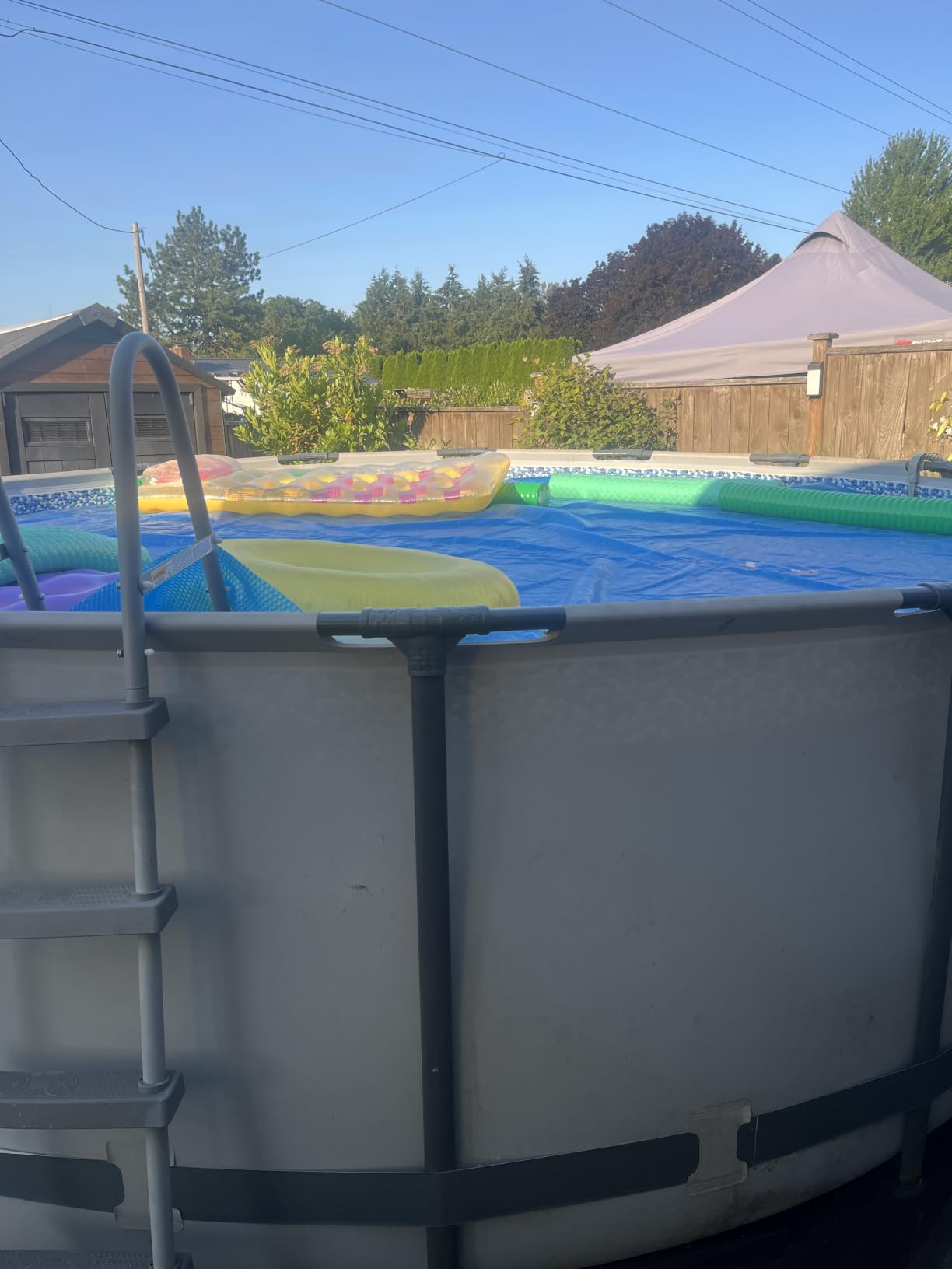 INTEX 28012E Solar Pool Cover: for 12ft Round Easy Set and Metal Frame Pools - Insulates Pool Water - Reduces Water Evaporation - Keeps Debris Out - Reduces Chemical Consumption customer photo 2