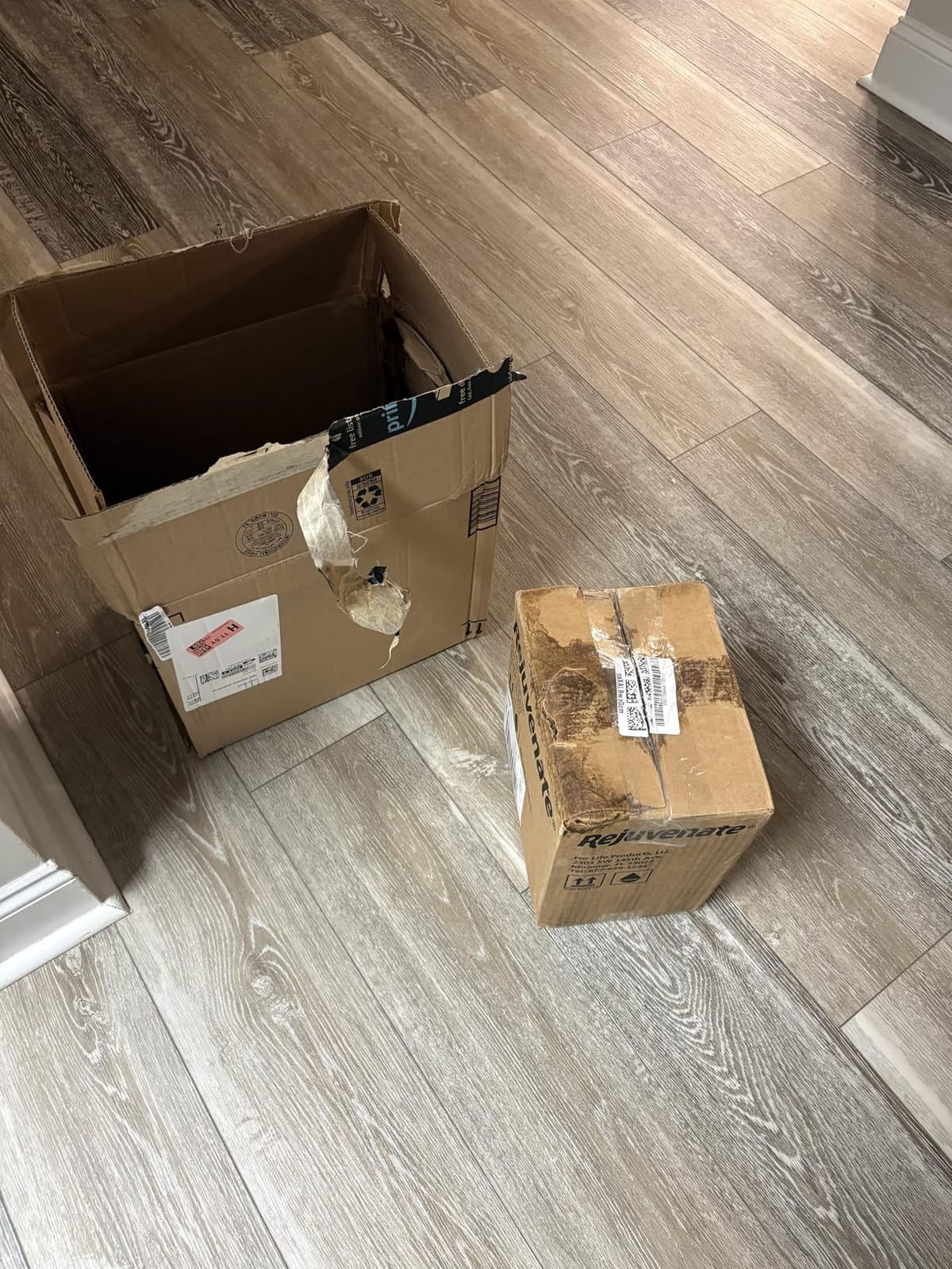 Rejuvenate All Floors Restorer 32 Oz, Fills Scratches, Shines & Protects | 1-Coat Application Fills Scratches, Shines & Protects, Safe on Sealed Hardwood, Laminate, Vinyl, & Tile, Safe For Pets & Kids customer photo 1