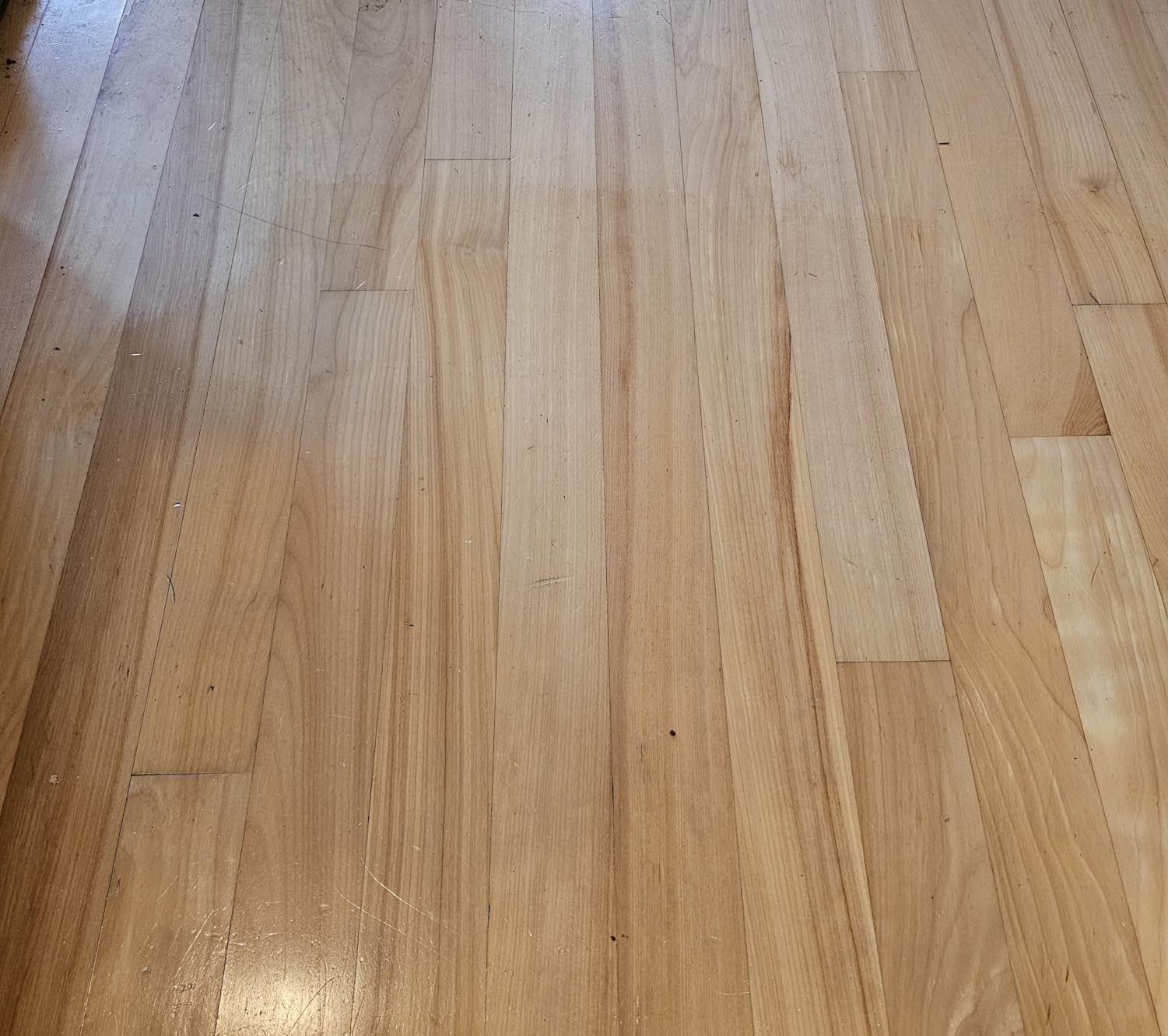 Rejuvenate All Floors Restorer 32 Oz, Fills Scratches, Shines & Protects | 1-Coat Application Fills Scratches, Shines & Protects, Safe on Sealed Hardwood, Laminate, Vinyl, & Tile, Safe For Pets & Kids customer photo 2