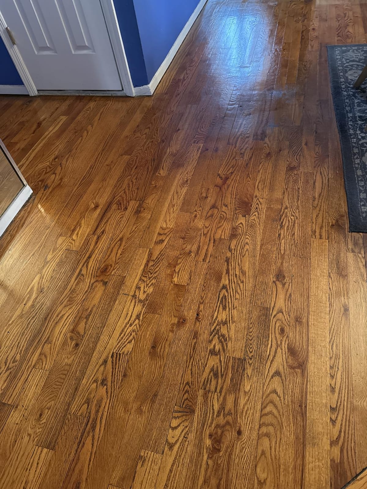 Bona Hardwood Floor Polish - 32 fl oz - High Gloss Shine customer photo 2