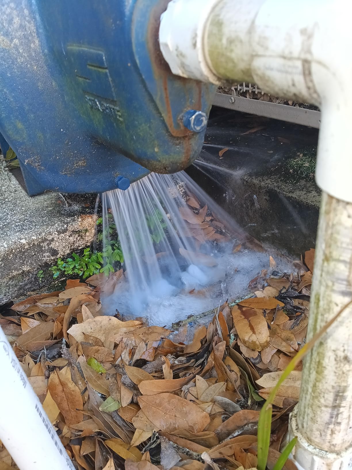 Pentair SNE-L 1 HP 115/230 Volt Shallow Well Jet Pump customer photo 1