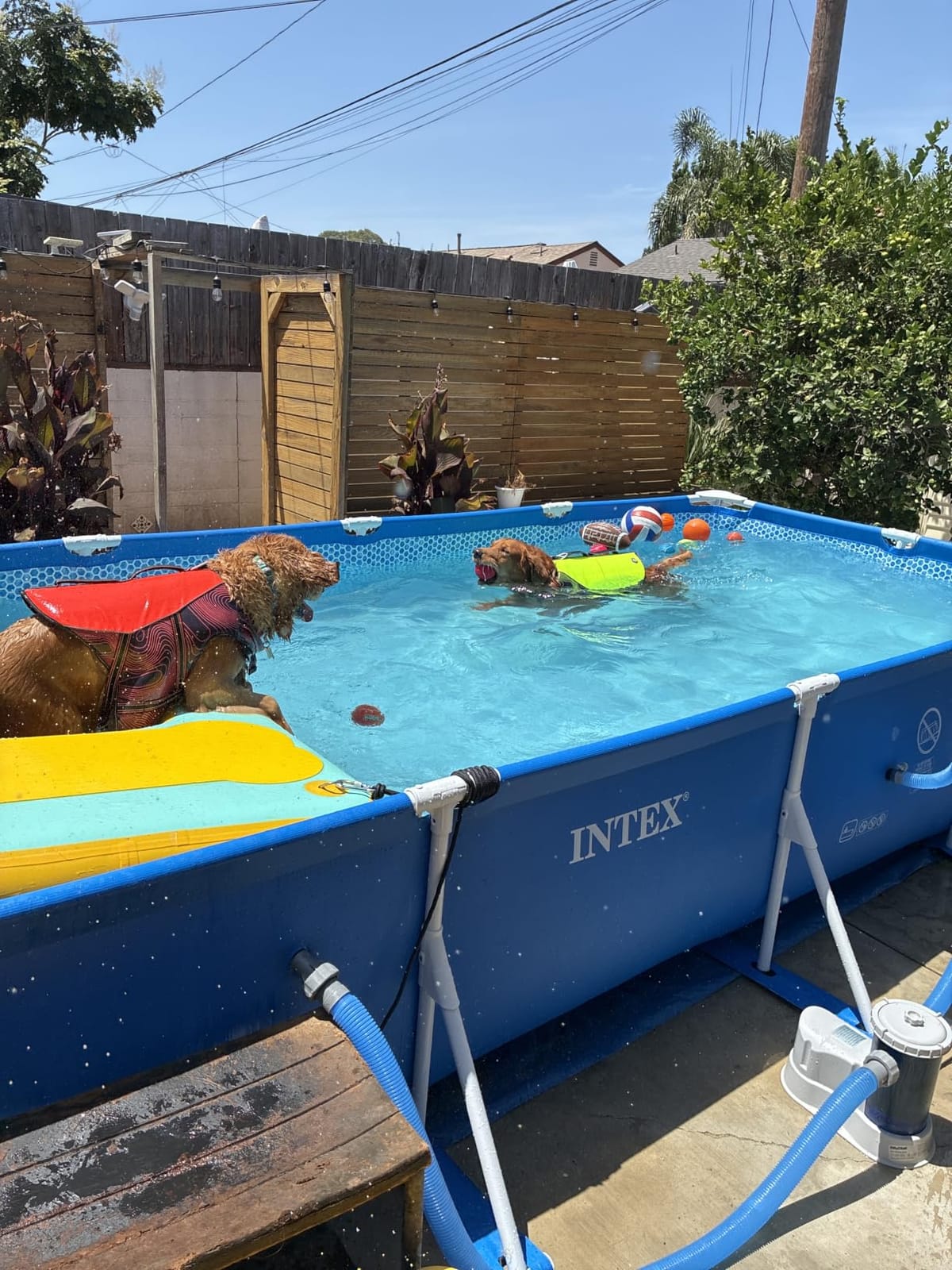 INTEX Metal Frame 8ft 6in x 5ft 3in x 25in Above Ground Swimming Pool customer photo 1