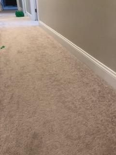 Carpet Aid Spot and Stain Remover, pH Balanced Cleaner for Carpets, Rugs, and Upholstery - Removes Oil, Grease, Ink, Coffee, Pet Urine, and Lipstick customer photo 1