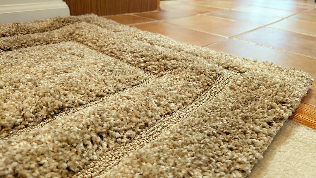 SAFAVIEH Florida Shag Collection Runner Rug - 2'3