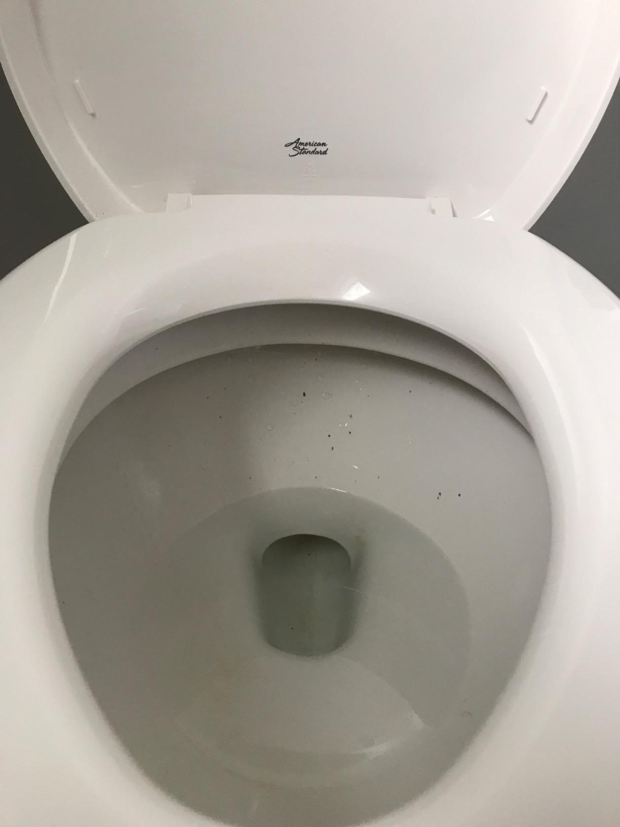 American Standard 211BA104.020 Champion PRO Two-Piece Toilet, Round Front, Chair Height, White, 1.28 gpf customer photo 2