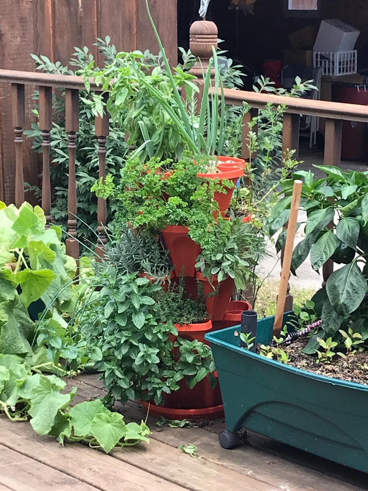5 Tier Stackable Strawberry, Herb, Flower, and Vegetable Planter - Vertical Garden Indoor/Outdoor customer photo 1